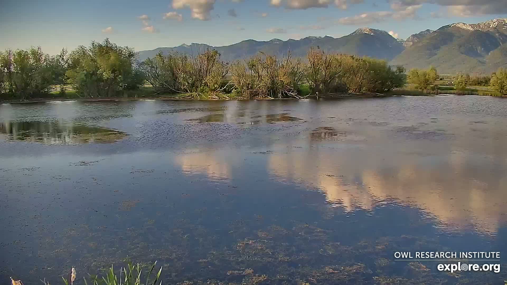 A calm body of water reflects a partly cloudy sky and distant mountains under a mostly clear sky.