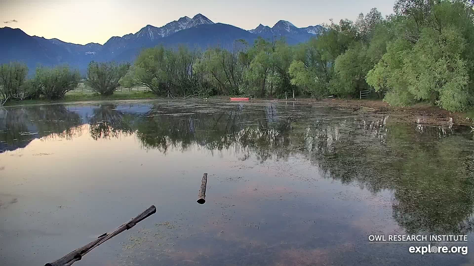 A calm pond reflects the surrounding trees and distant mountains under a twilight sky.