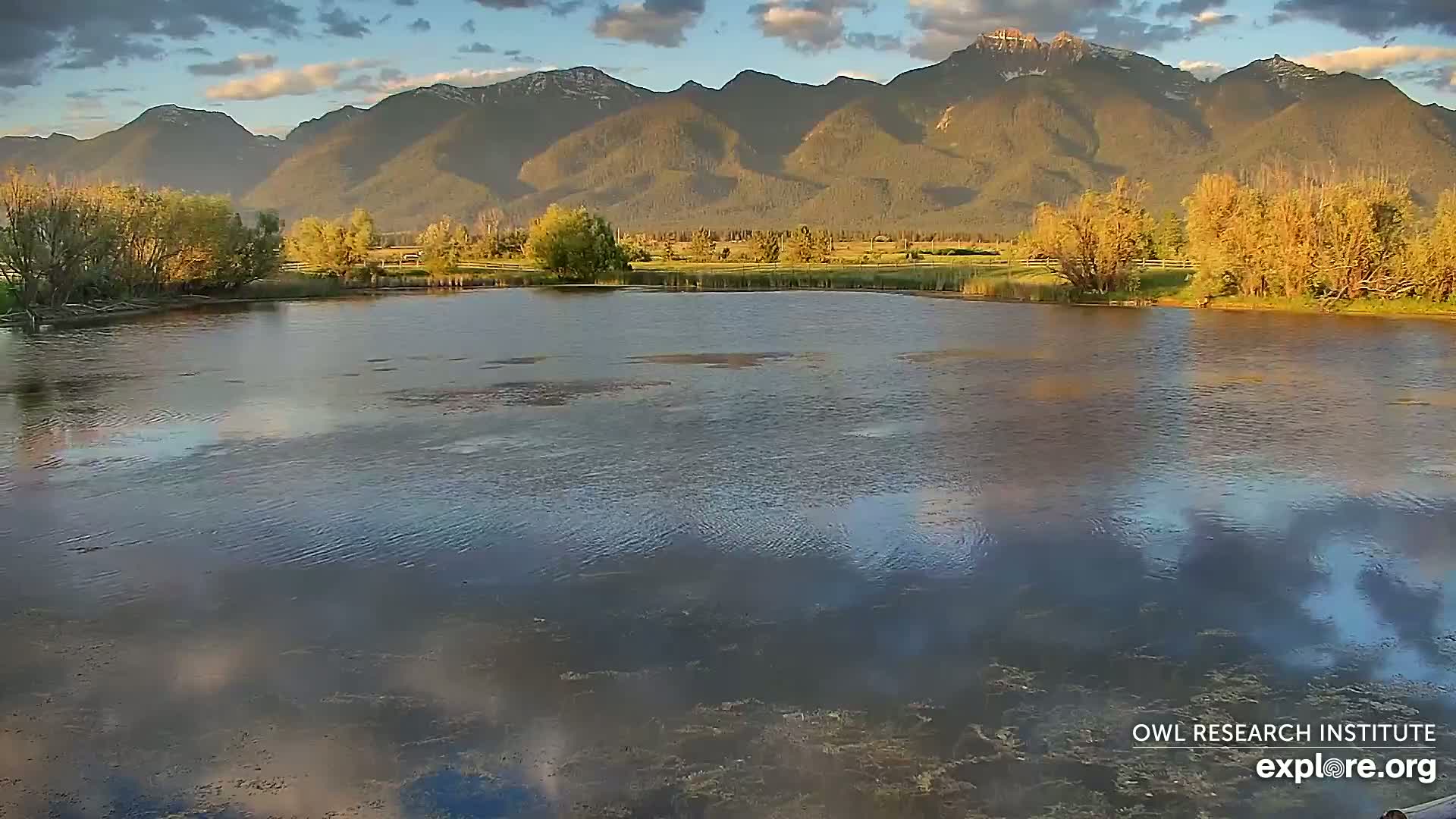 Mission Mountain Range & Mt Calowahcan View from Ninepipe Lodge Wildlife Refuge Live Cam - Charlo, Lake County, Montana, USA
