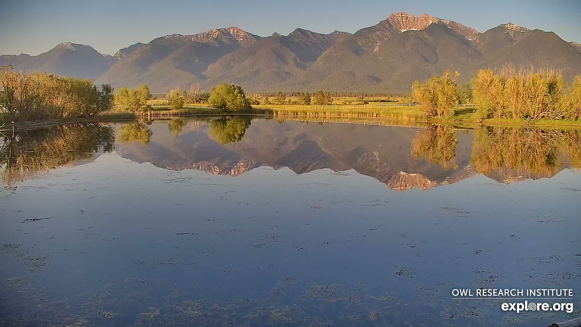 Mission Mountain Range & Mt Calowahcan View from Ninepipe Lodge Wildlife Refuge Live Cam - Charlo, Lake County, Montana, USA
