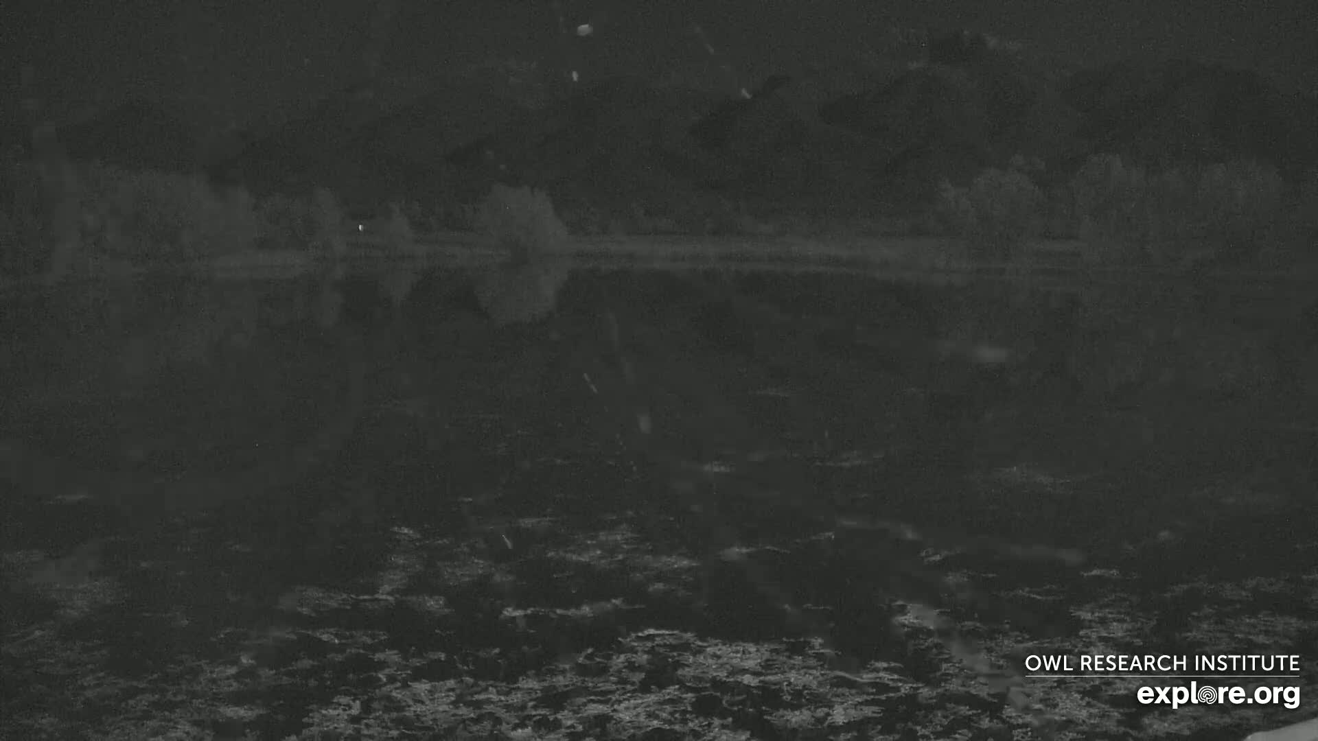 A dark body of water reflects a dark shoreline under a nighttime sky with light snow falling.