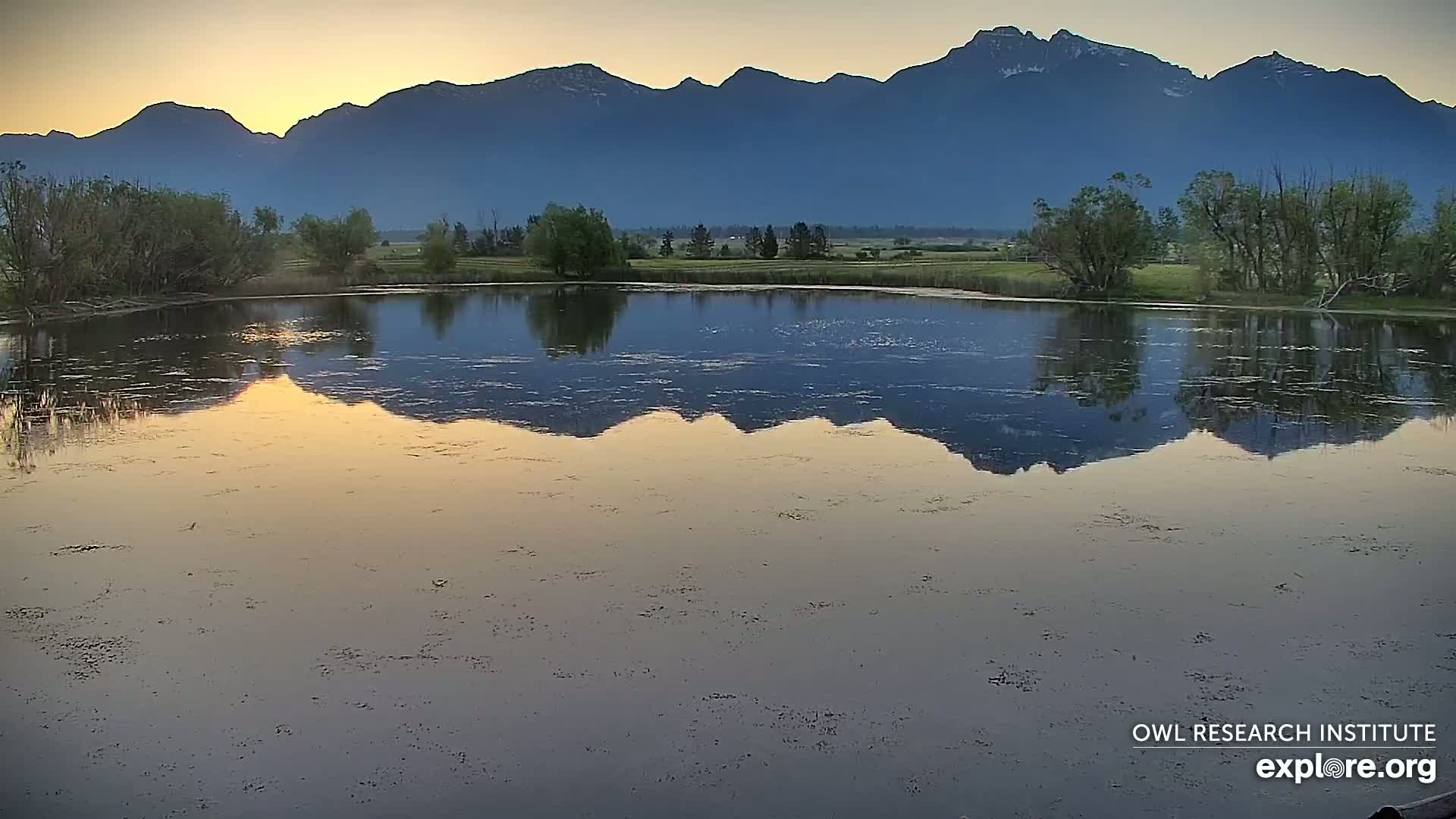 A calm body of water reflects a mountain range at sunset, with trees lining the shore.
