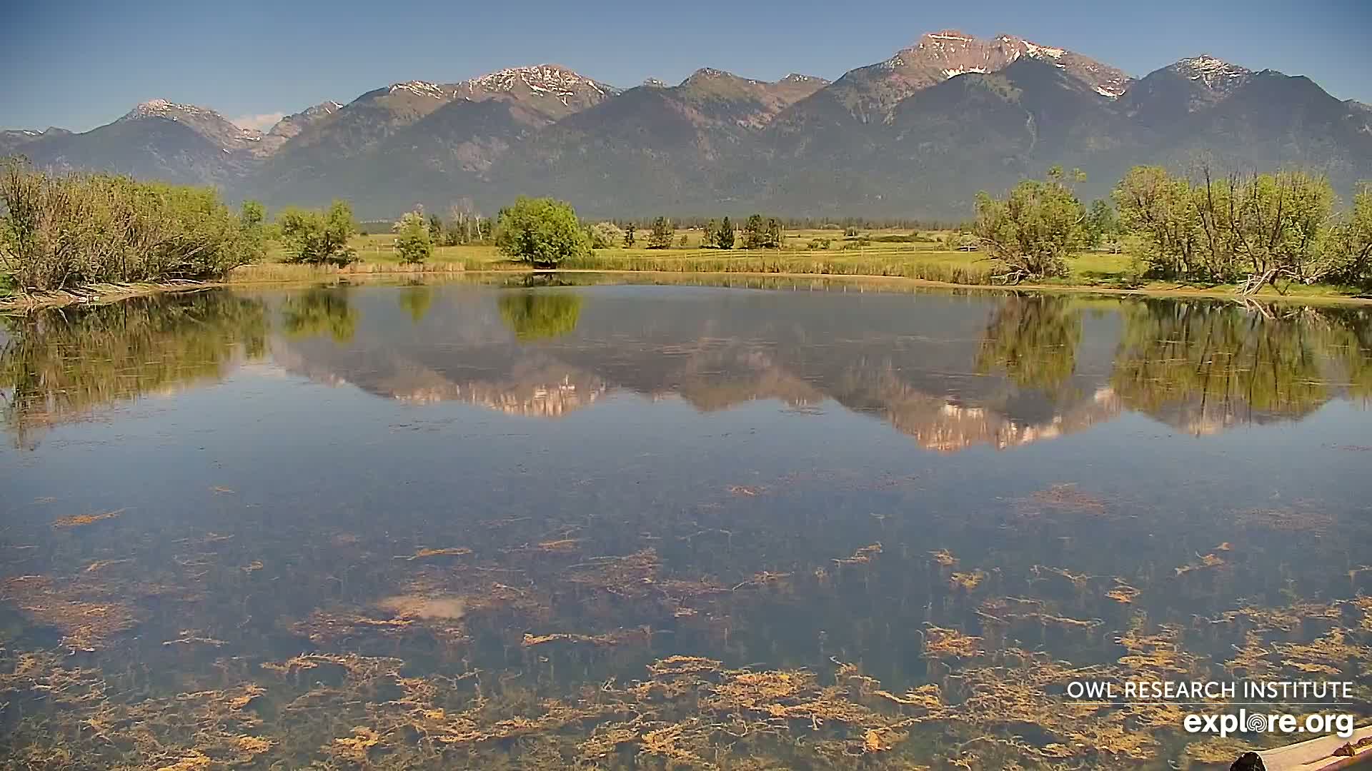 Mission Mountain Range & Mt Calowahcan View from Ninepipe Lodge Wildlife Refuge Live Cam - Charlo, Lake County, Montana, USA