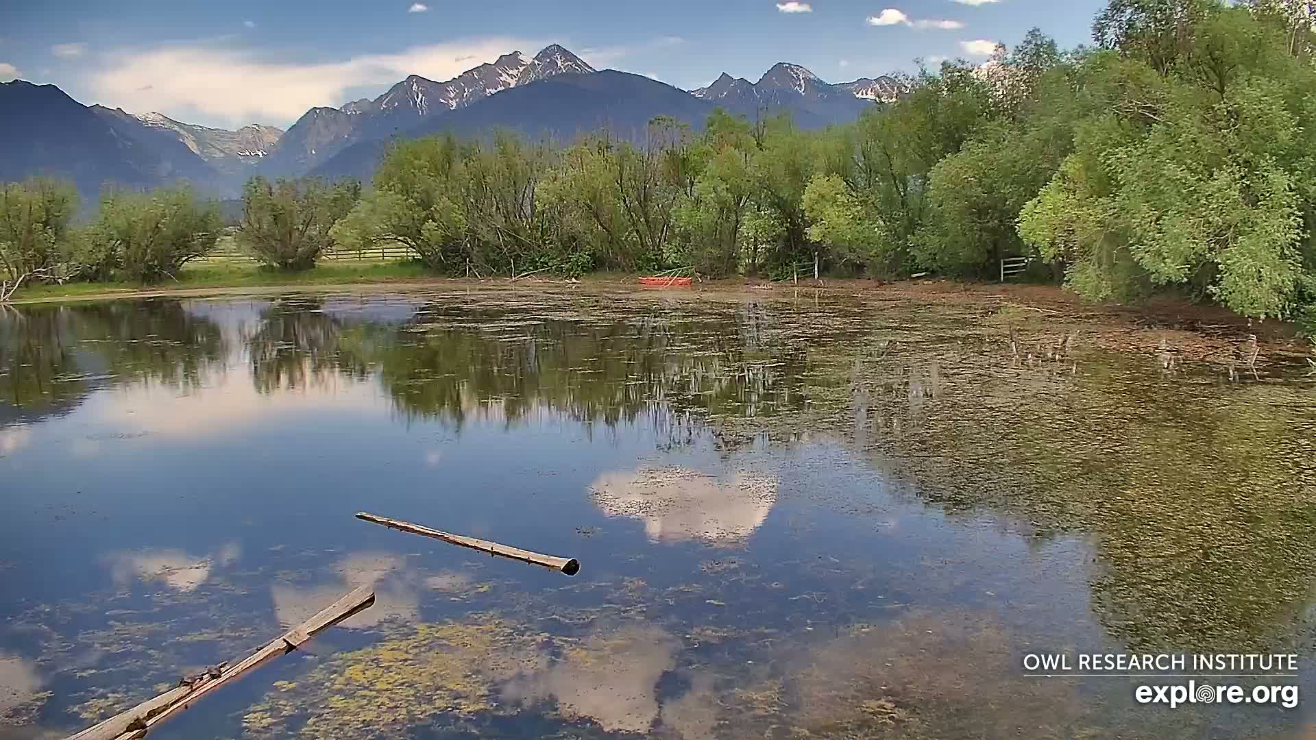 Mission Mountain Range & Mt Calowahcan View from Ninepipe Lodge Wildlife Refuge Live Cam - Charlo, Lake County, Montana, USA