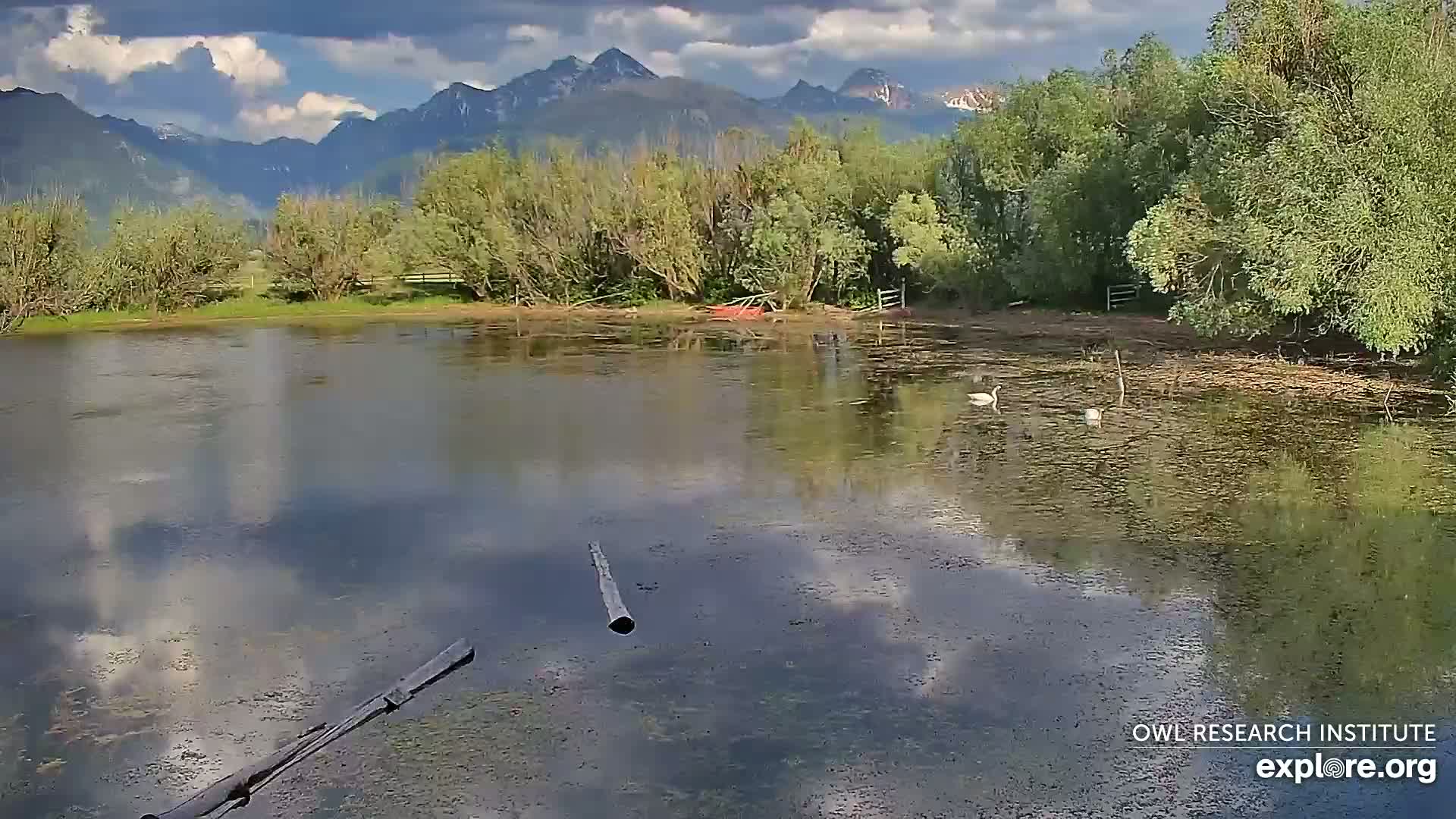 Mission Mountain Range & Mt Calowahcan View from Ninepipe Lodge Wildlife Refuge Live Cam - Charlo, Lake County, Montana, USA