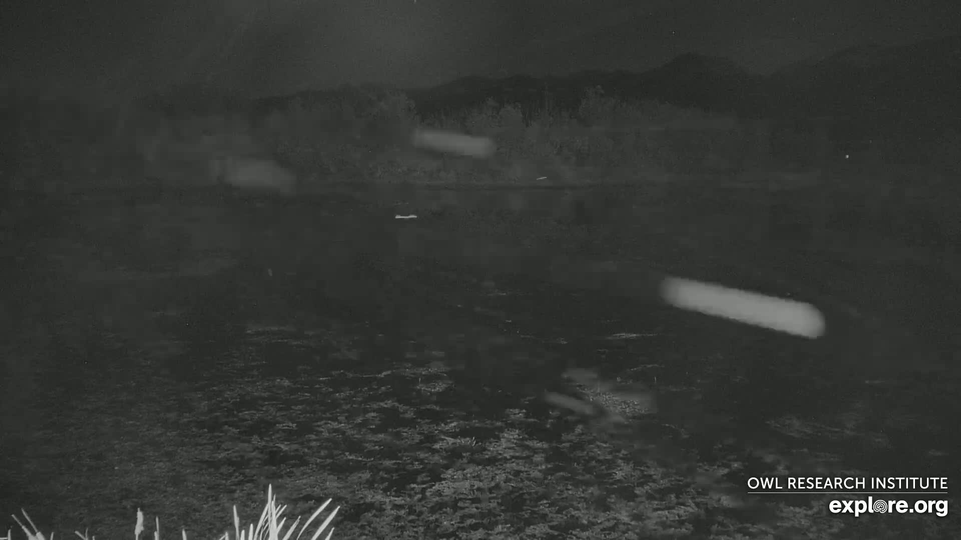 Mission Mountain Range & Mt Calowahcan View from Ninepipe Lodge Wildlife Refuge Live Cam - Charlo, Lake County, Montana, USA