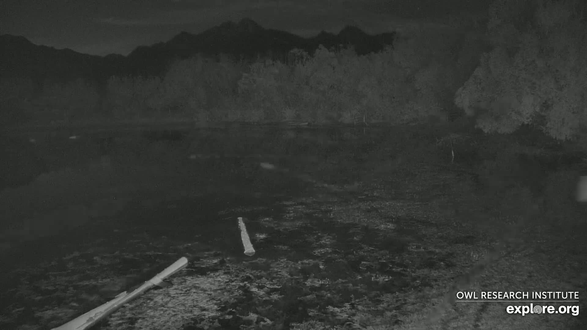 At night, two logs lie in a dark body of water under a mountain range silhouetted against a dark sky.