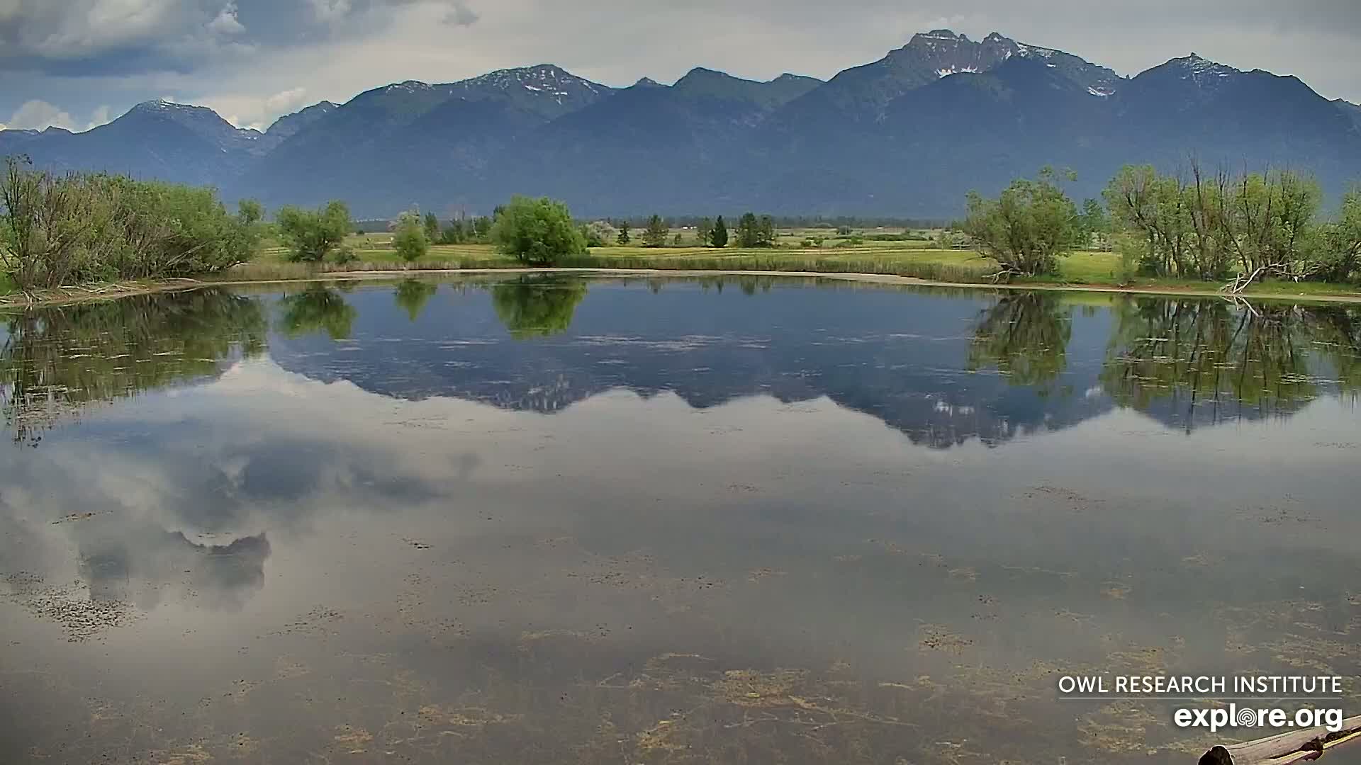 Mission Mountain Range & Mt Calowahcan View from Ninepipe Lodge Wildlife Refuge Live Cam - Charlo, Lake County, Montana, USA