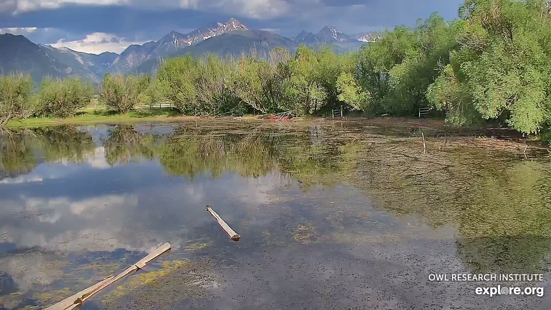 Mission Mountain Range & Mt Calowahcan View from Ninepipe Lodge Wildlife Refuge Live Cam - Charlo, Lake County, Montana, USA