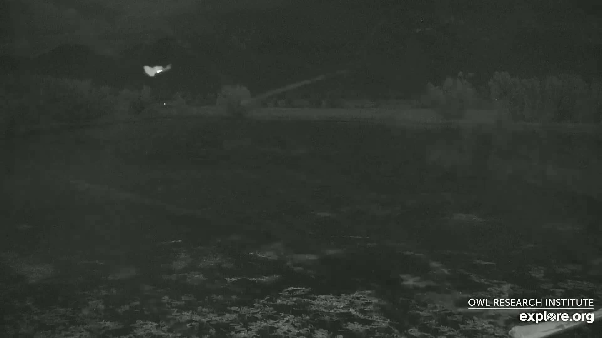 Mission Mountain Range & Mt Calowahcan View from Ninepipe Lodge Wildlife Refuge Live Cam - Charlo, Lake County, Montana, USA