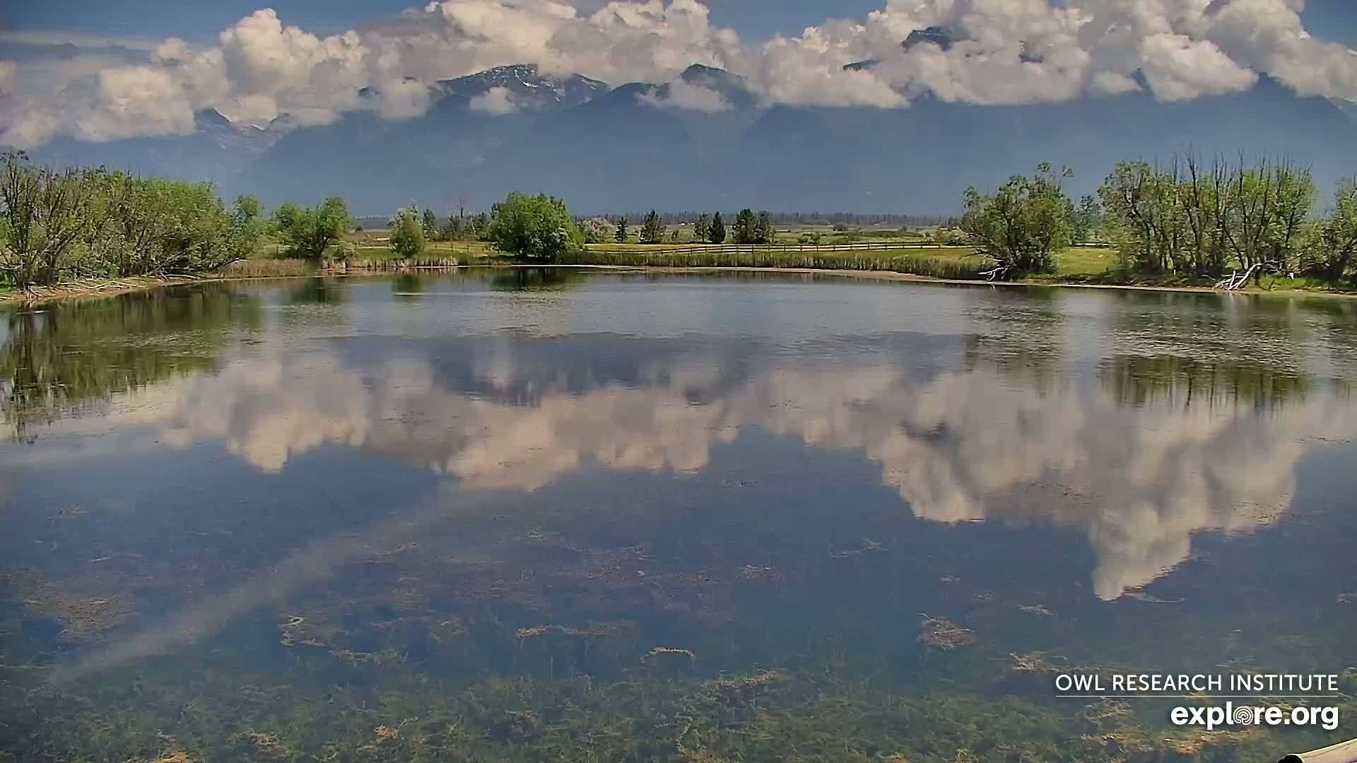 Mission Mountain Range & Mt Calowahcan View from Ninepipe Lodge Wildlife Refuge Live Cam - Charlo, Lake County, Montana, USA