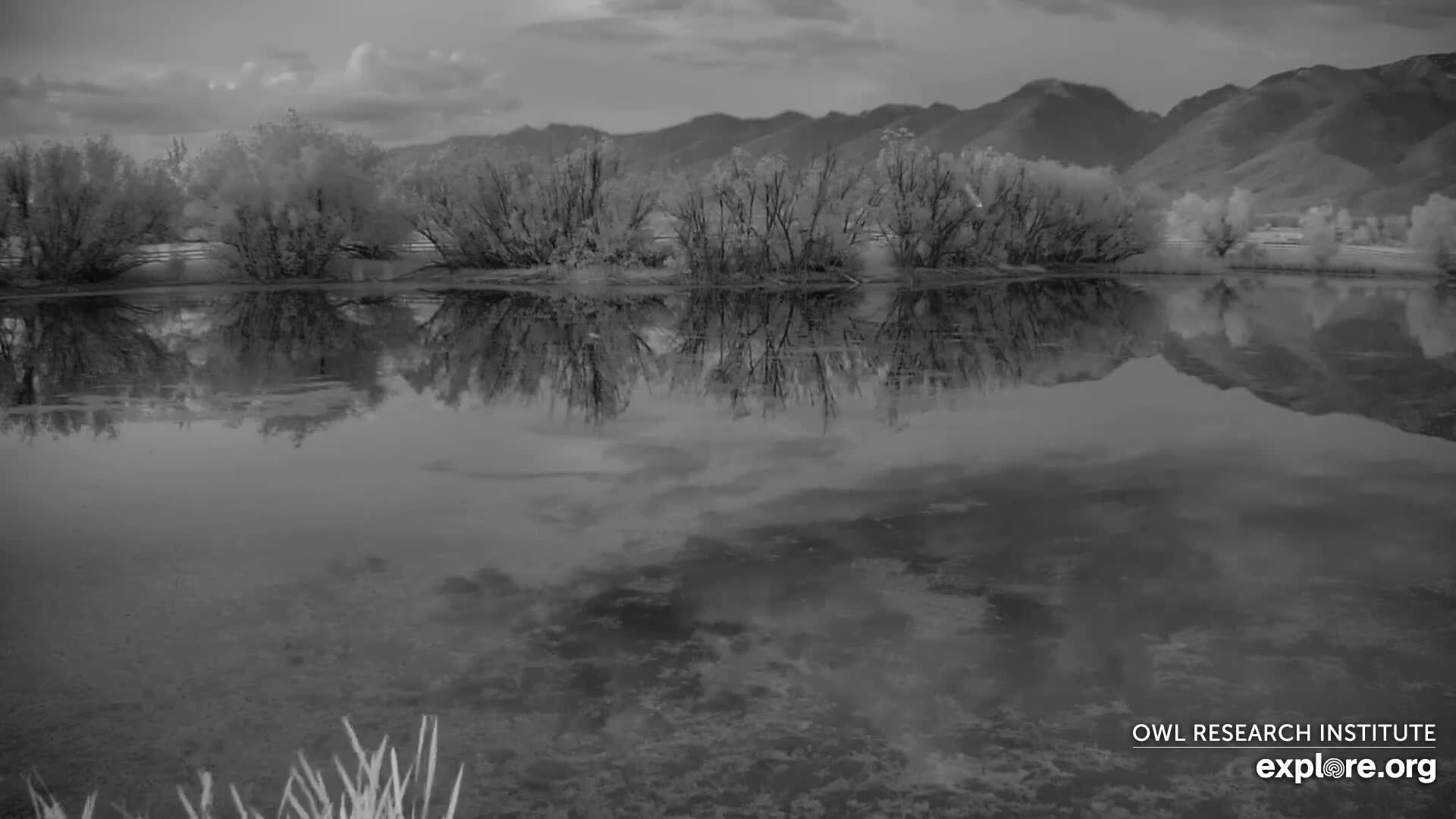 Mission Mountain Range & Mt Calowahcan View from Ninepipe Lodge Wildlife Refuge Live Cam - Charlo, Lake County, Montana, USA