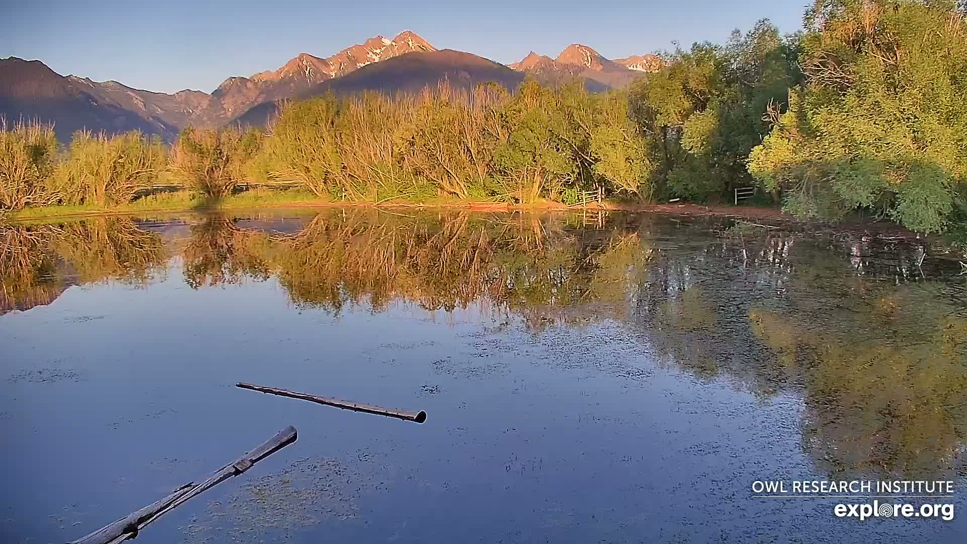 Mission Mountain Range & Mt Calowahcan View from Ninepipe Lodge Wildlife Refuge Live Cam - Charlo, Lake County, Montana, USA