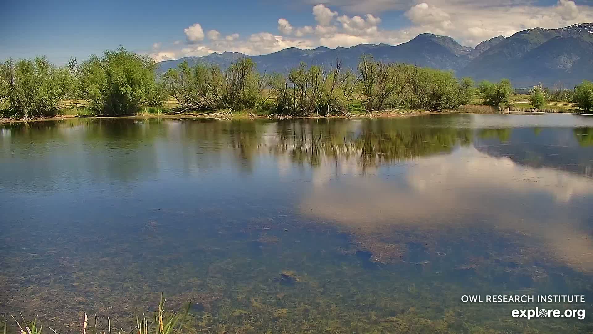 A calm pond reflects a partly cloudy sky and mountains under sunny conditions.