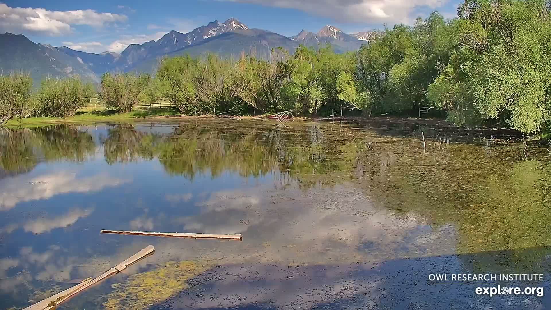 A calm pond reflects a partly cloudy sky and mountains under sunny conditions.