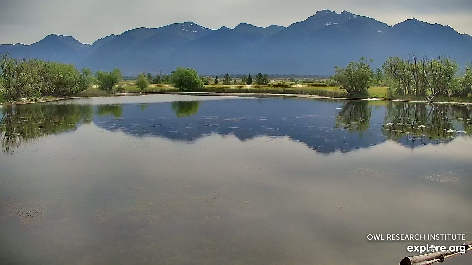 A calm pond reflects a mountain range under a mostly cloudy sky, with green vegetation lining the pond's edge.