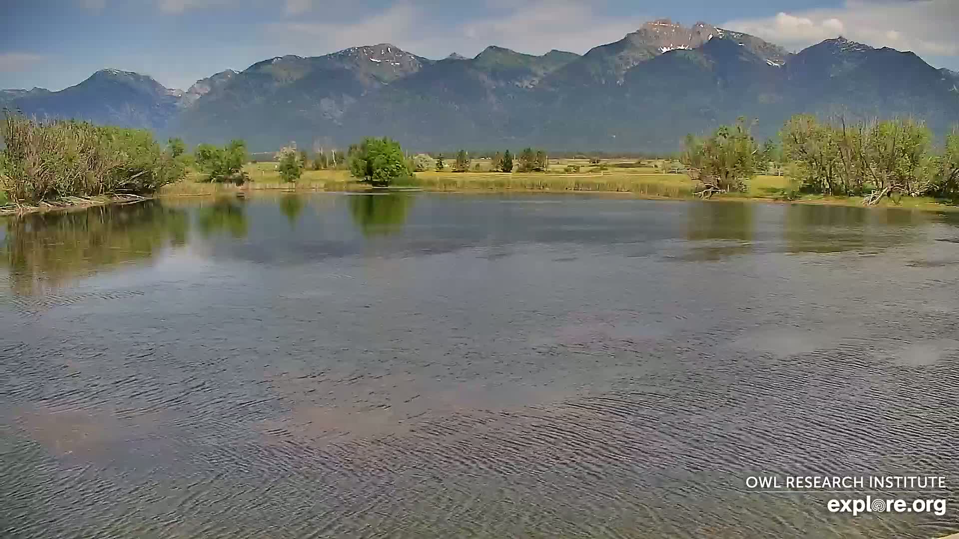 Mission Mountain Range & Mt Calowahcan View from Ninepipe Lodge Wildlife Refuge Live Cam - Charlo, Lake County, Montana, USA