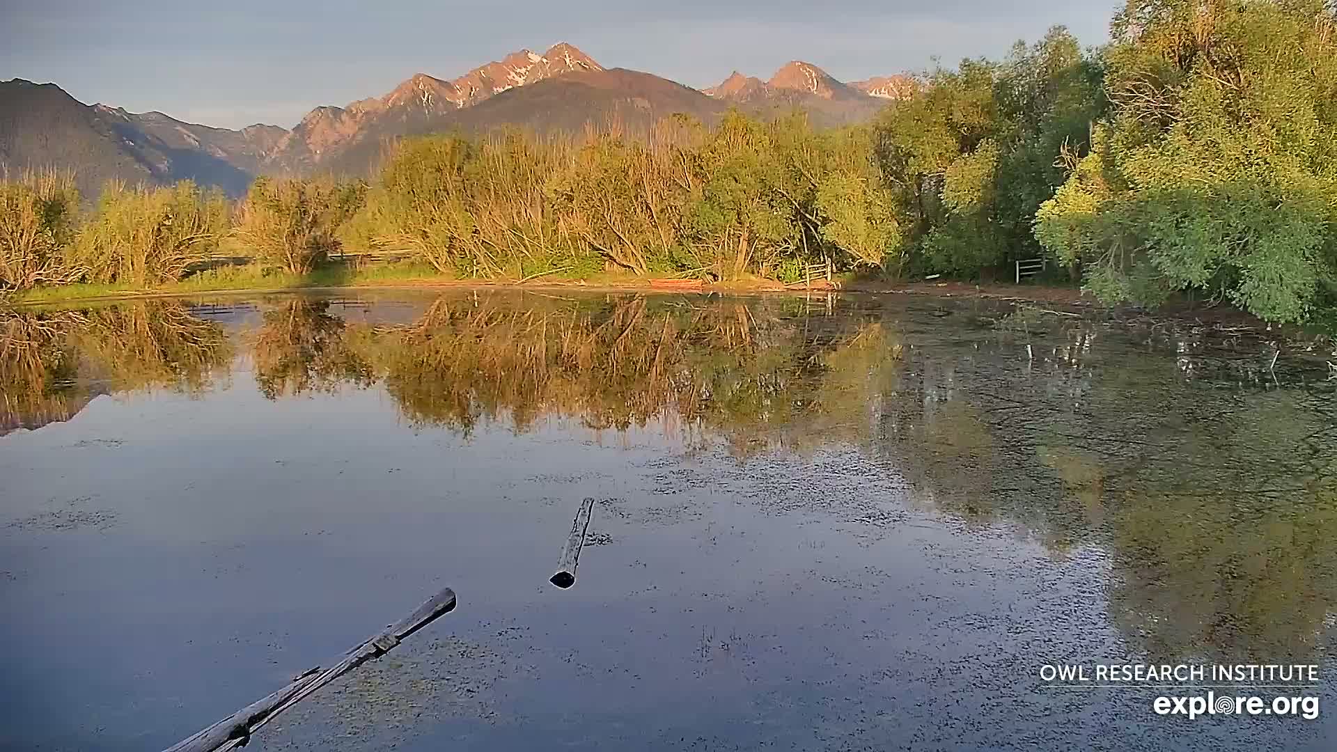 Mission Mountain Range & Mt Calowahcan View from Ninepipe Lodge Wildlife Refuge Live Cam - Charlo, Lake County, Montana, USA