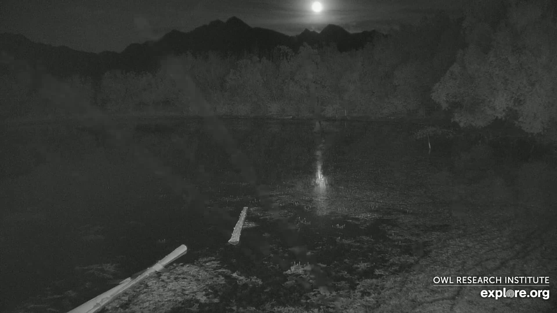 A dark body of water sits under a bright moon in front of a silhouetted mountain range and trees at night.