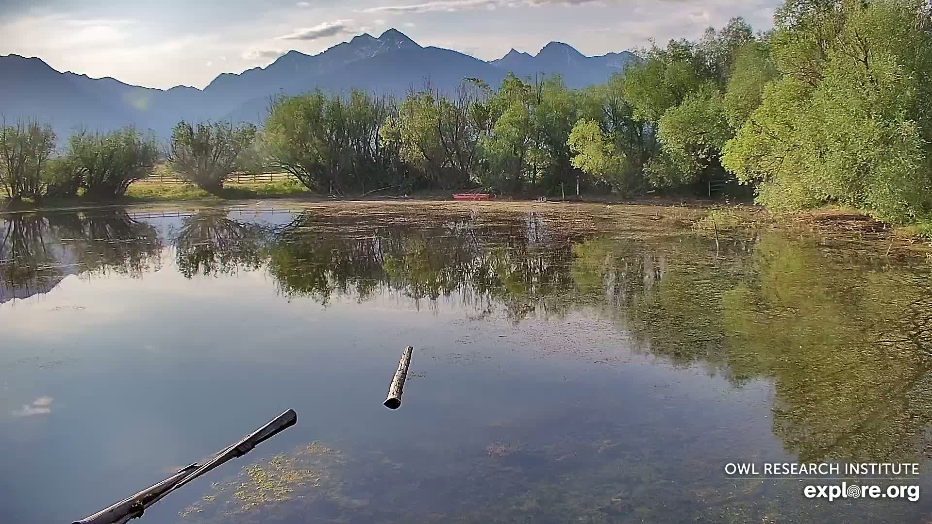 A calm pond reflects a line of trees and distant mountains under a partly cloudy sky.