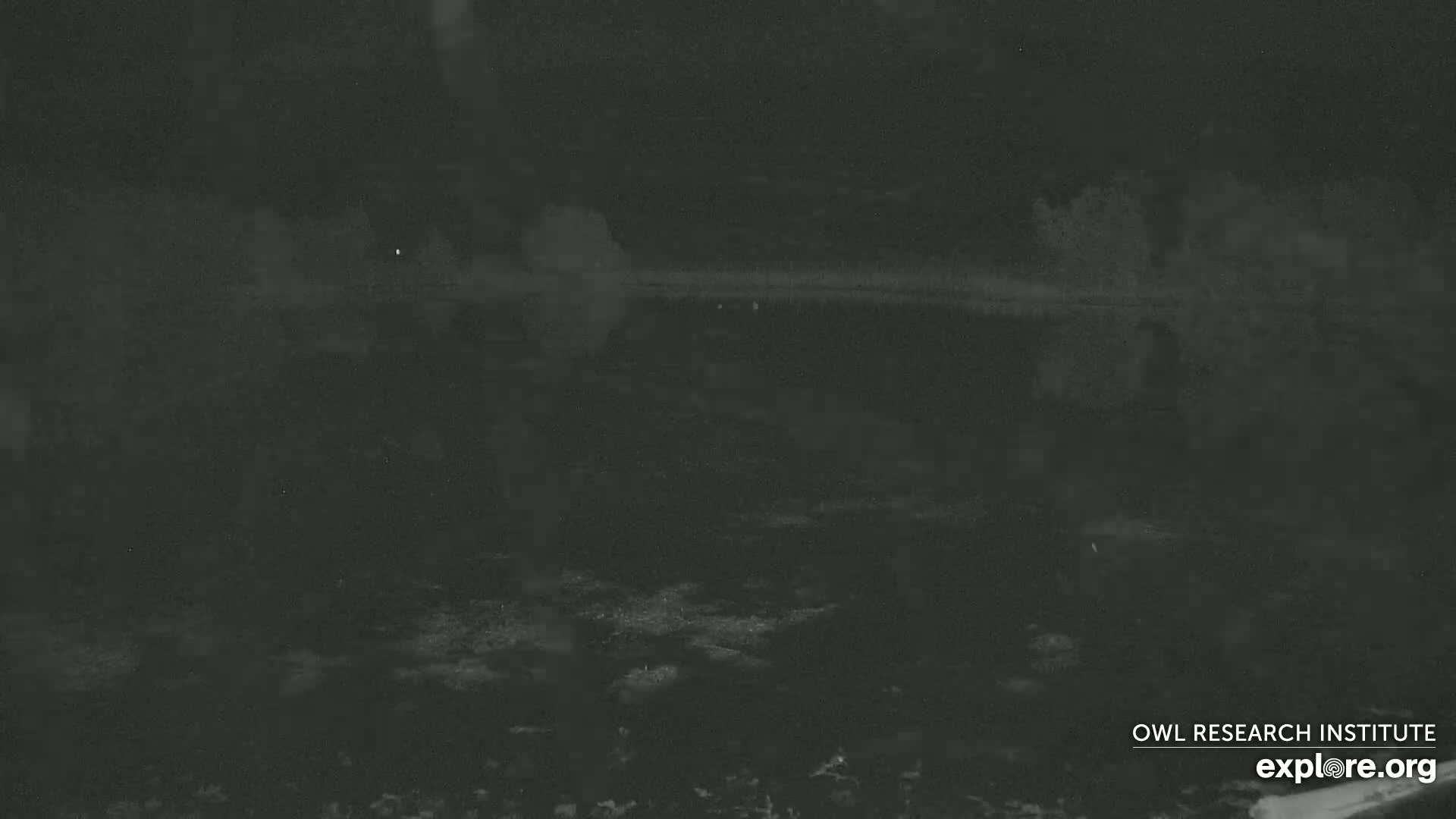 Mission Mountain Range & Mt Calowahcan View from Ninepipe Lodge Wildlife Refuge Live Cam - Charlo, Lake County, Montana, USA