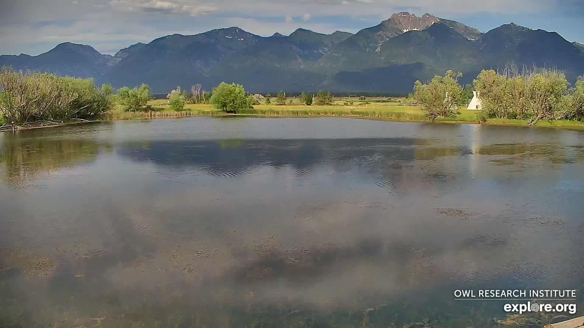 Mission Mountain Range & Mt Calowahcan View from Ninepipe Lodge Wildlife Refuge Live Cam - Charlo, Lake County, Montana, USA