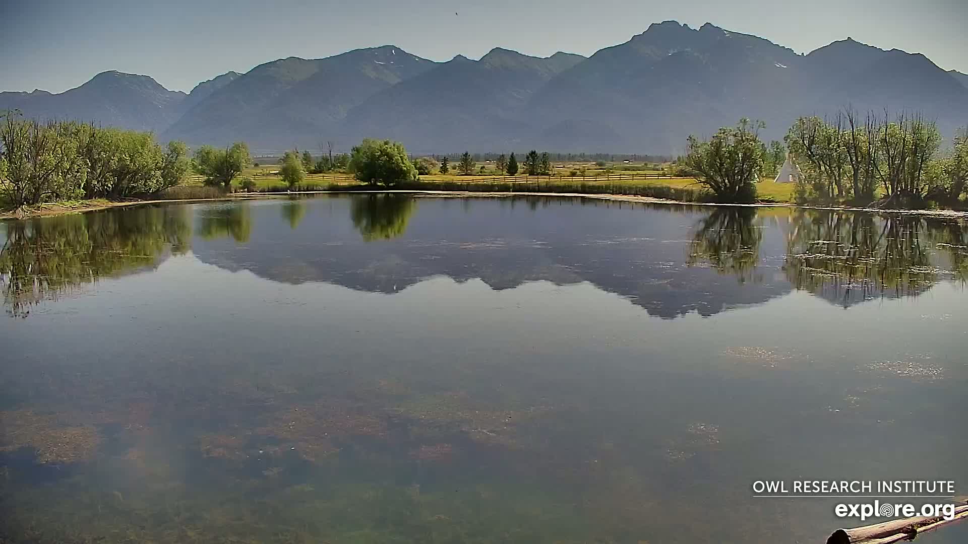 A calm pond reflects a mountain range under a clear, sunny sky, with green vegetation lining the shore.