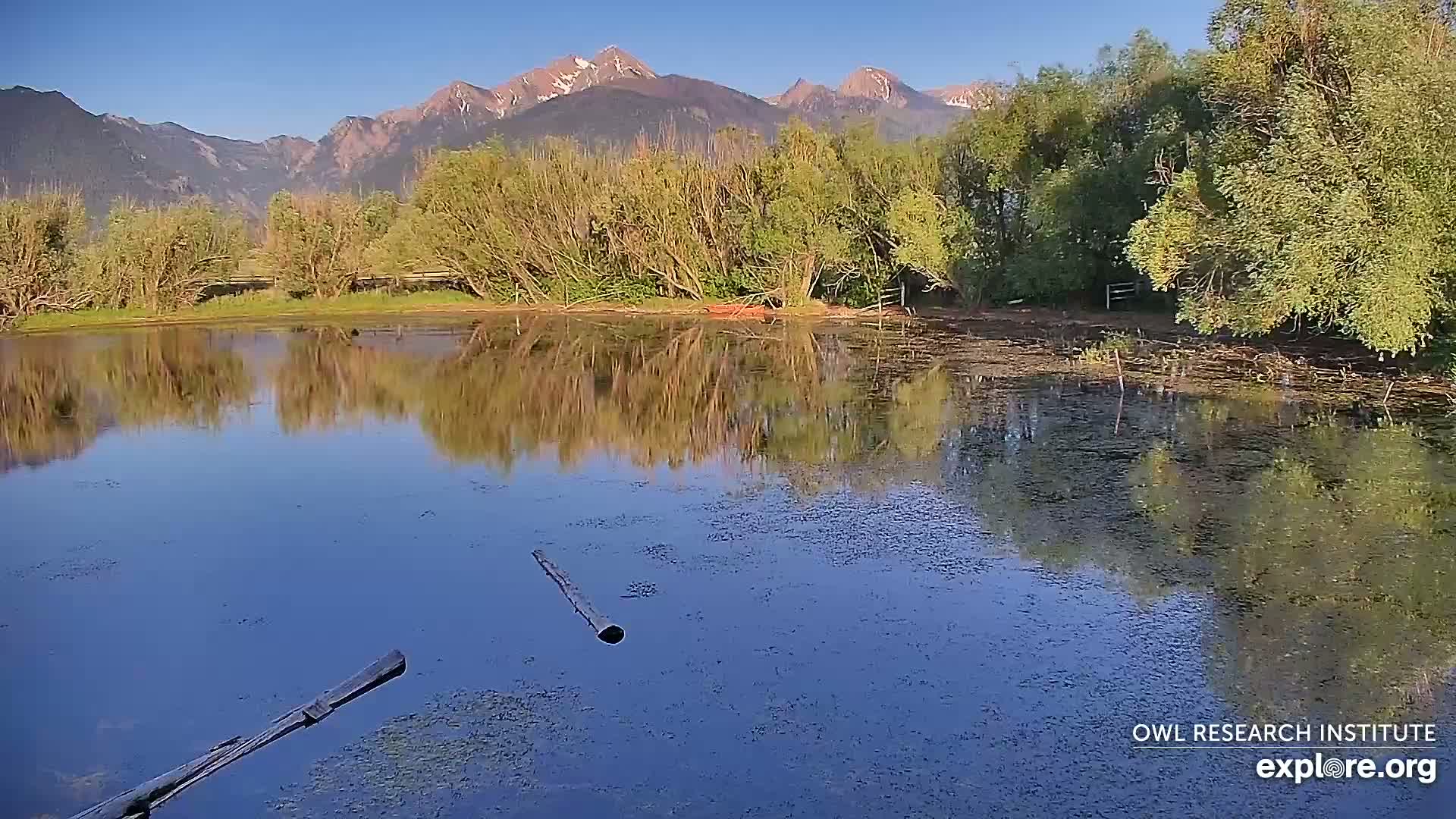 Mission Mountain Range & Mt Calowahcan View from Ninepipe Lodge Wildlife Refuge Live Cam - Charlo, Lake County, Montana, USA