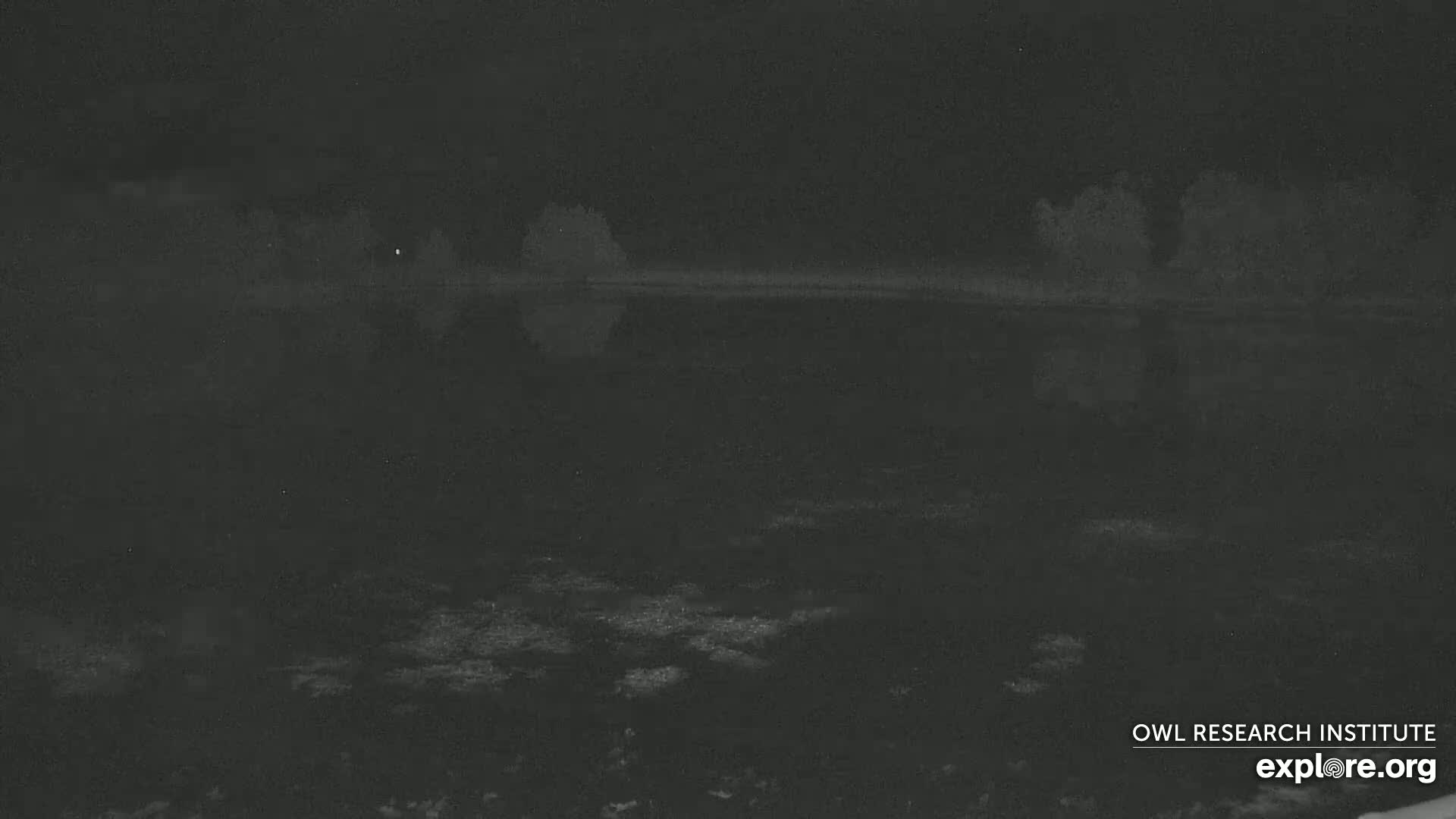 A dark body of water reflects a dark shoreline under a night sky.