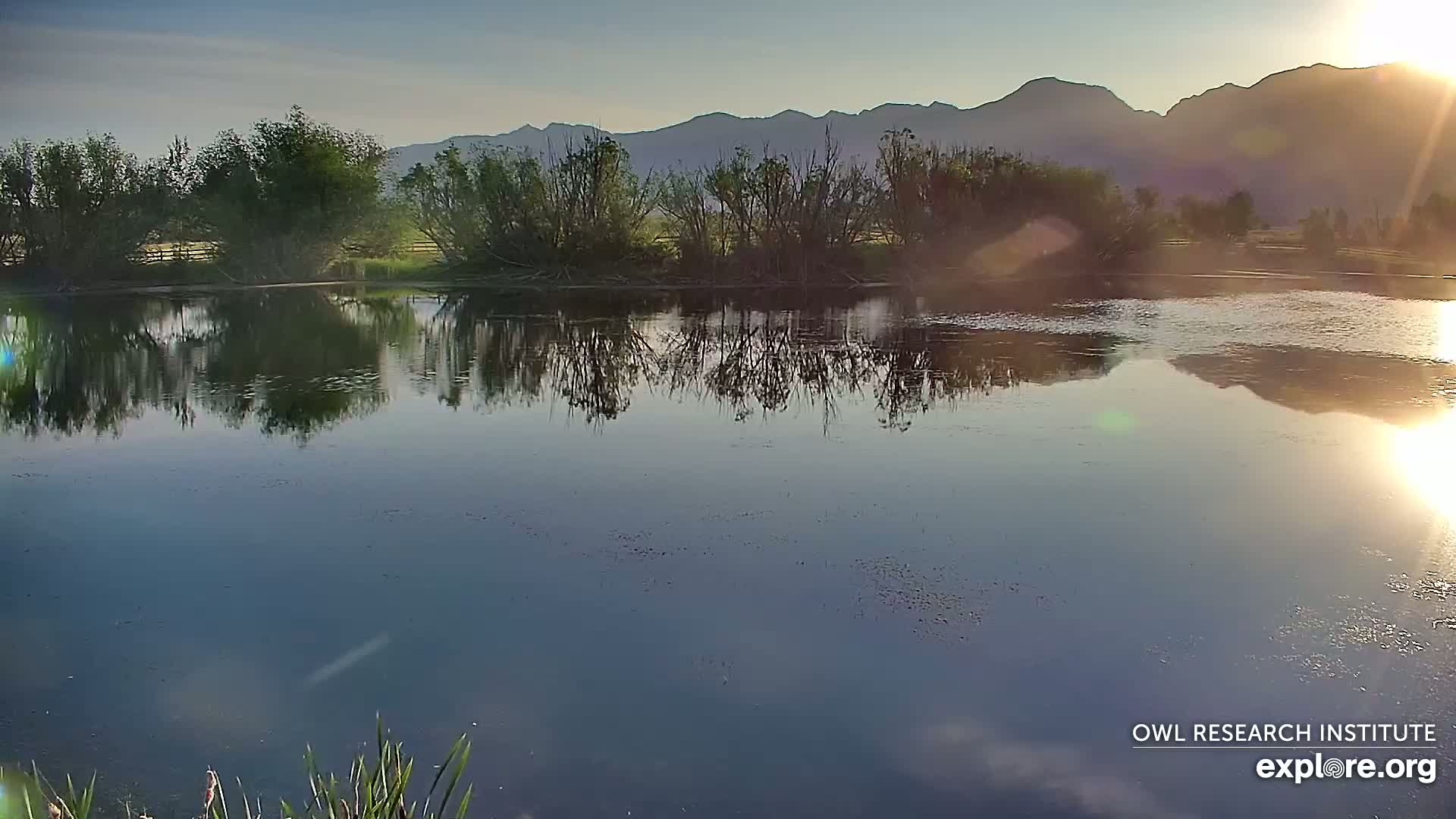 A calm body of water reflects the silhouettes of trees and distant mountains under a clear, sunrise sky.