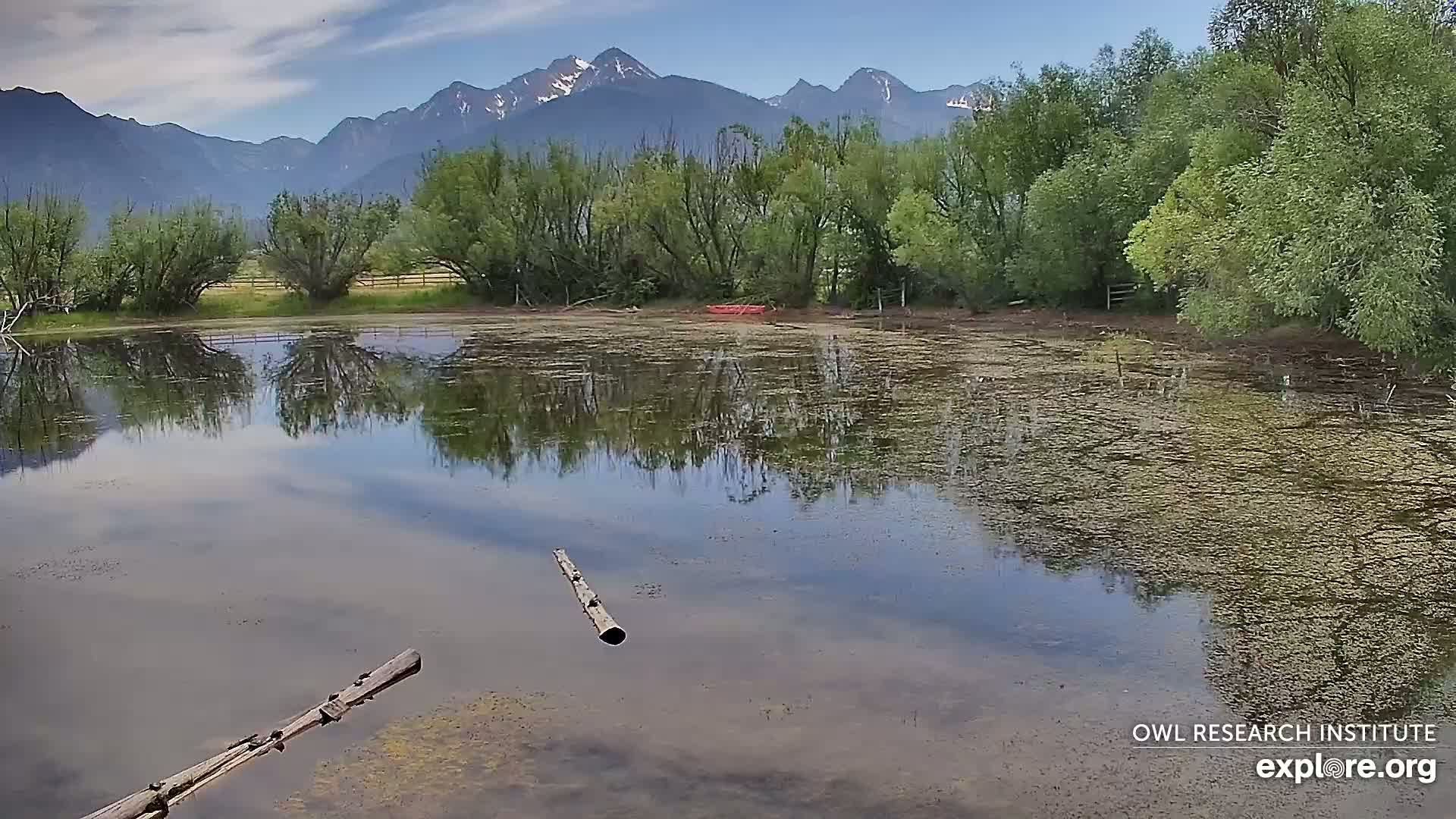 A calm pond reflects the trees and snow-capped mountains under a mostly clear sky.