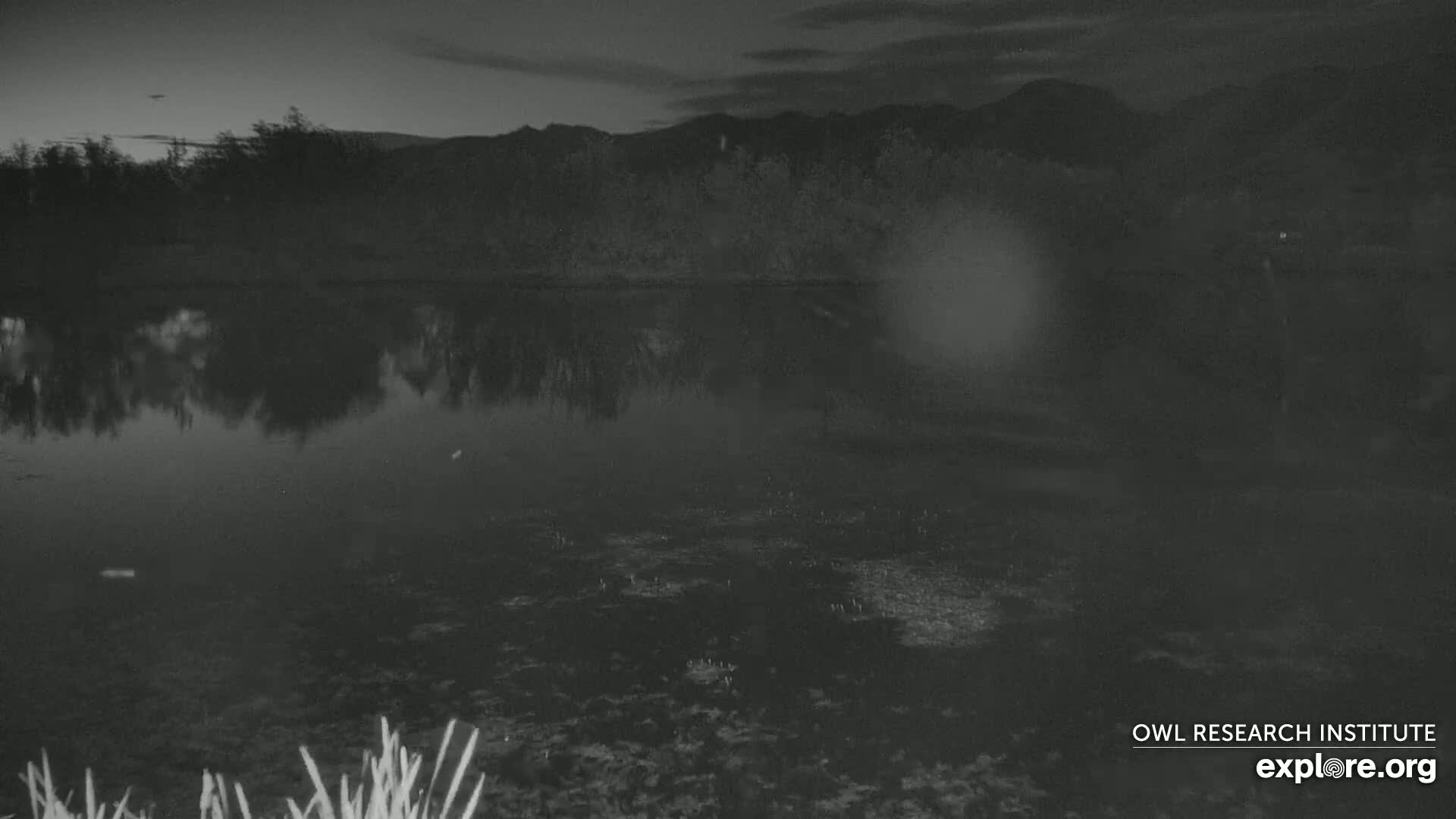 Mission Mountain Range & Mt Calowahcan View from Ninepipe Lodge Wildlife Refuge Live Cam - Charlo, Lake County, Montana, USA