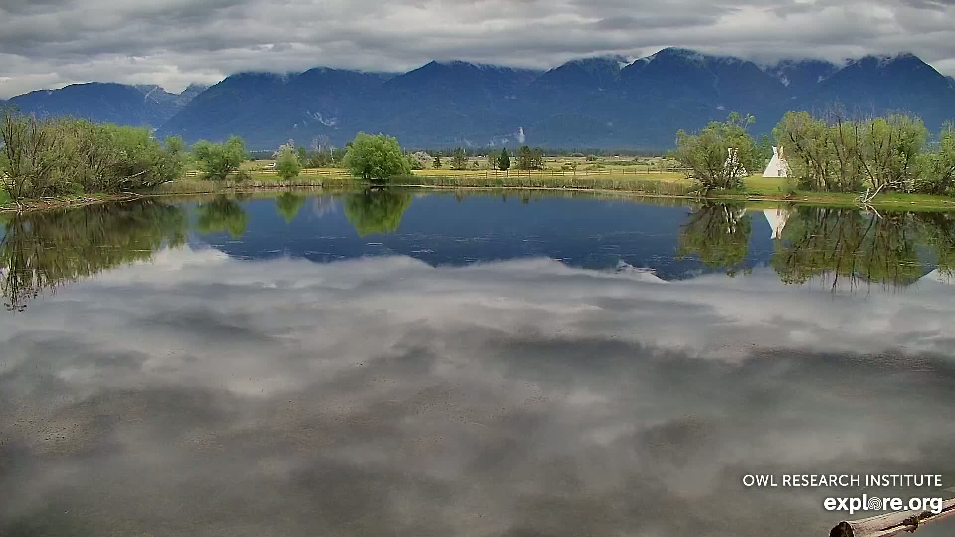 Mission Mountain Range & Mt Calowahcan View from Ninepipe Lodge Wildlife Refuge Live Cam - Charlo, Lake County, Montana, USA