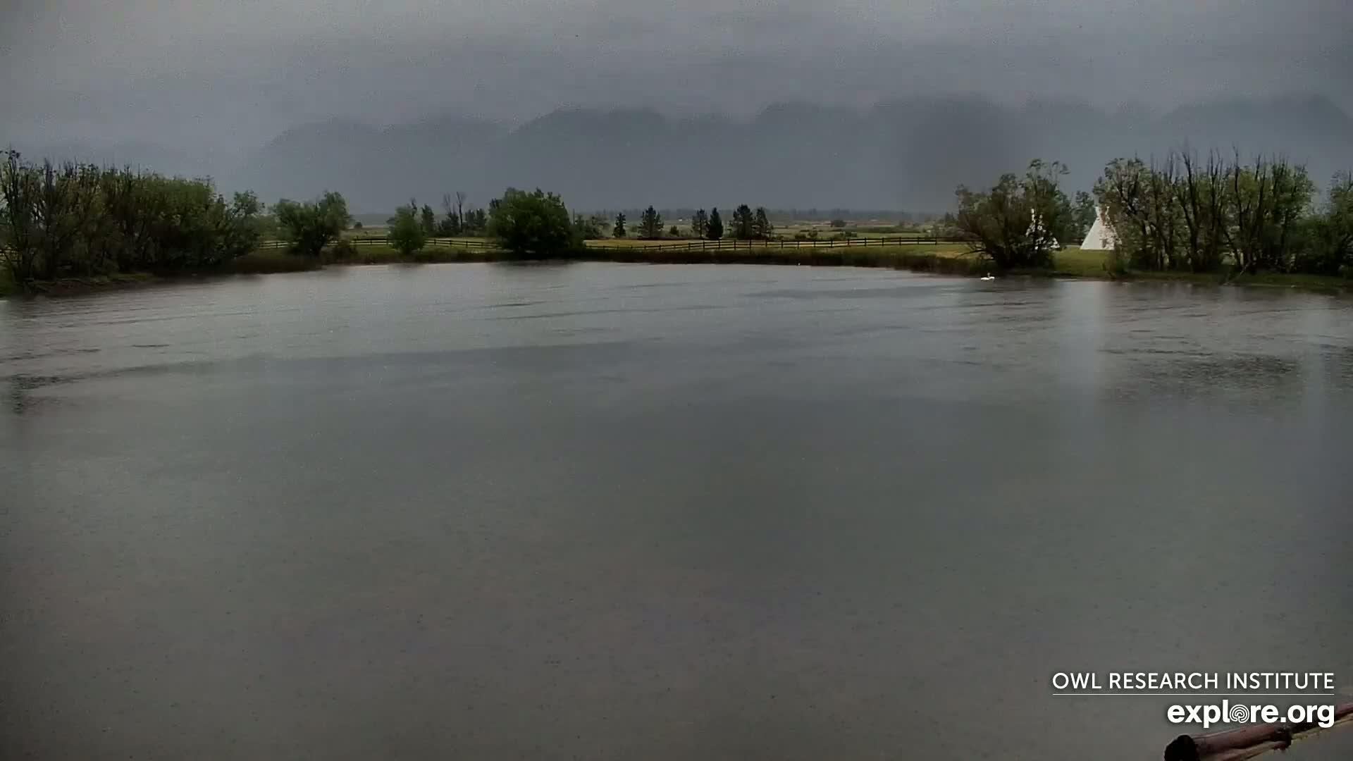 A calm lake under a gray, overcast sky is surrounded by trees and a fenced-in field with mountains in the background.