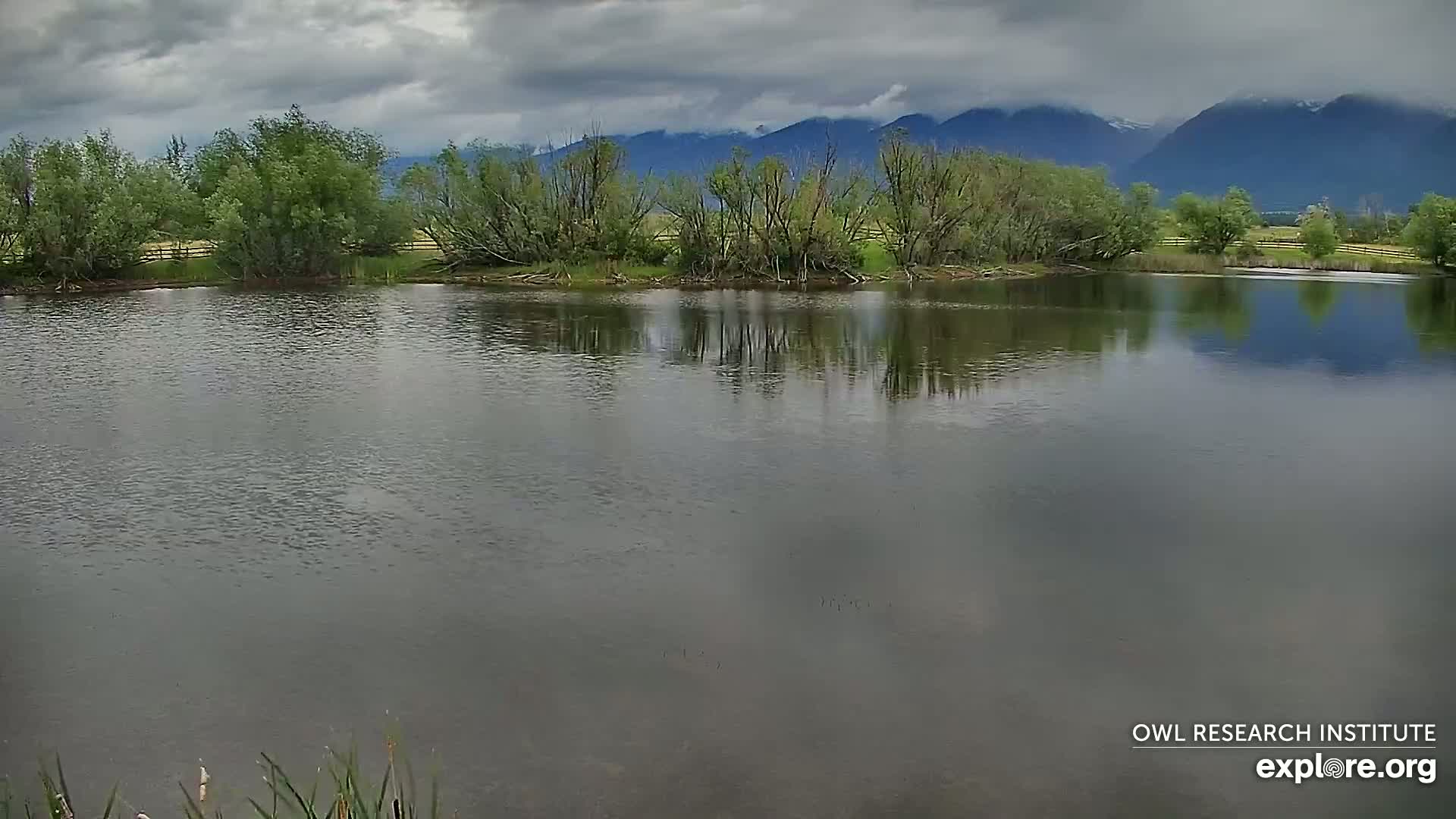 A calm, dark-colored pond reflects a cloudy sky and distant mountains under an overcast sky.