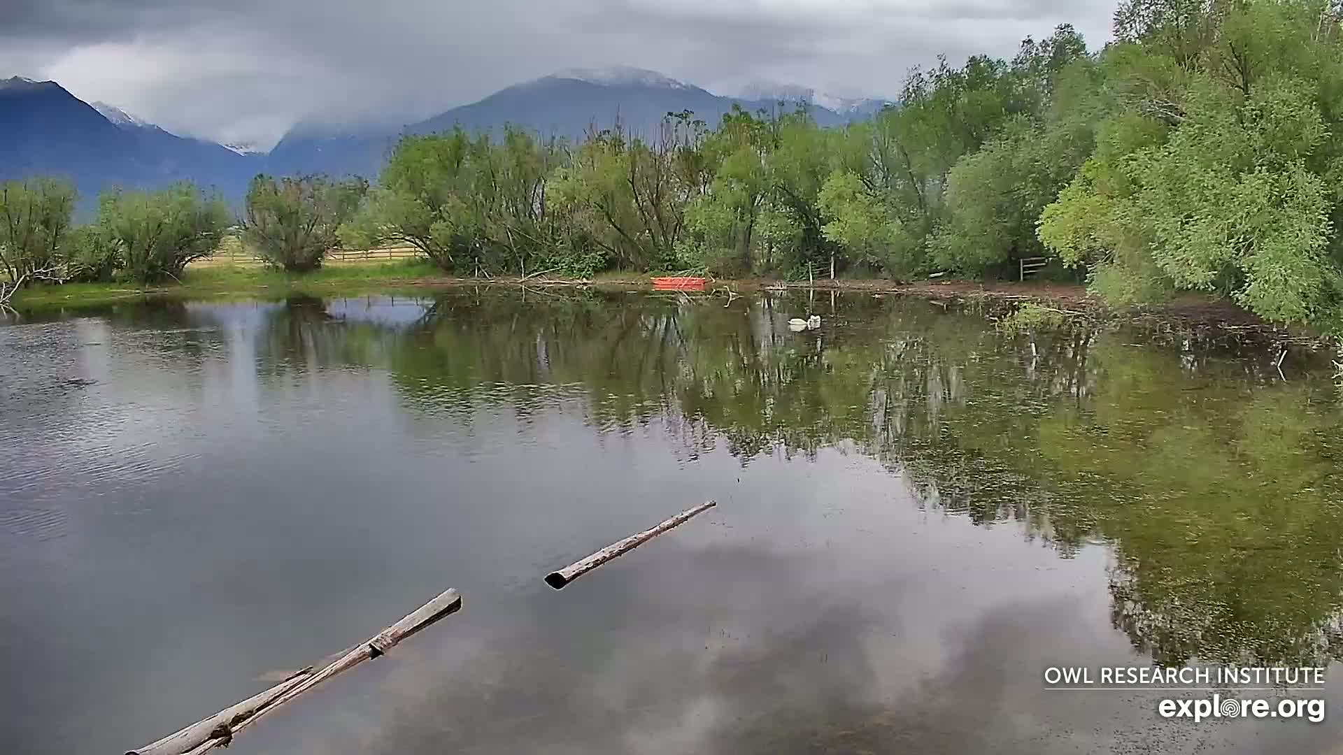 Mission Mountain Range & Mt Calowahcan View from Ninepipe Lodge Wildlife Refuge Live Cam - Charlo, Lake County, Montana, USA