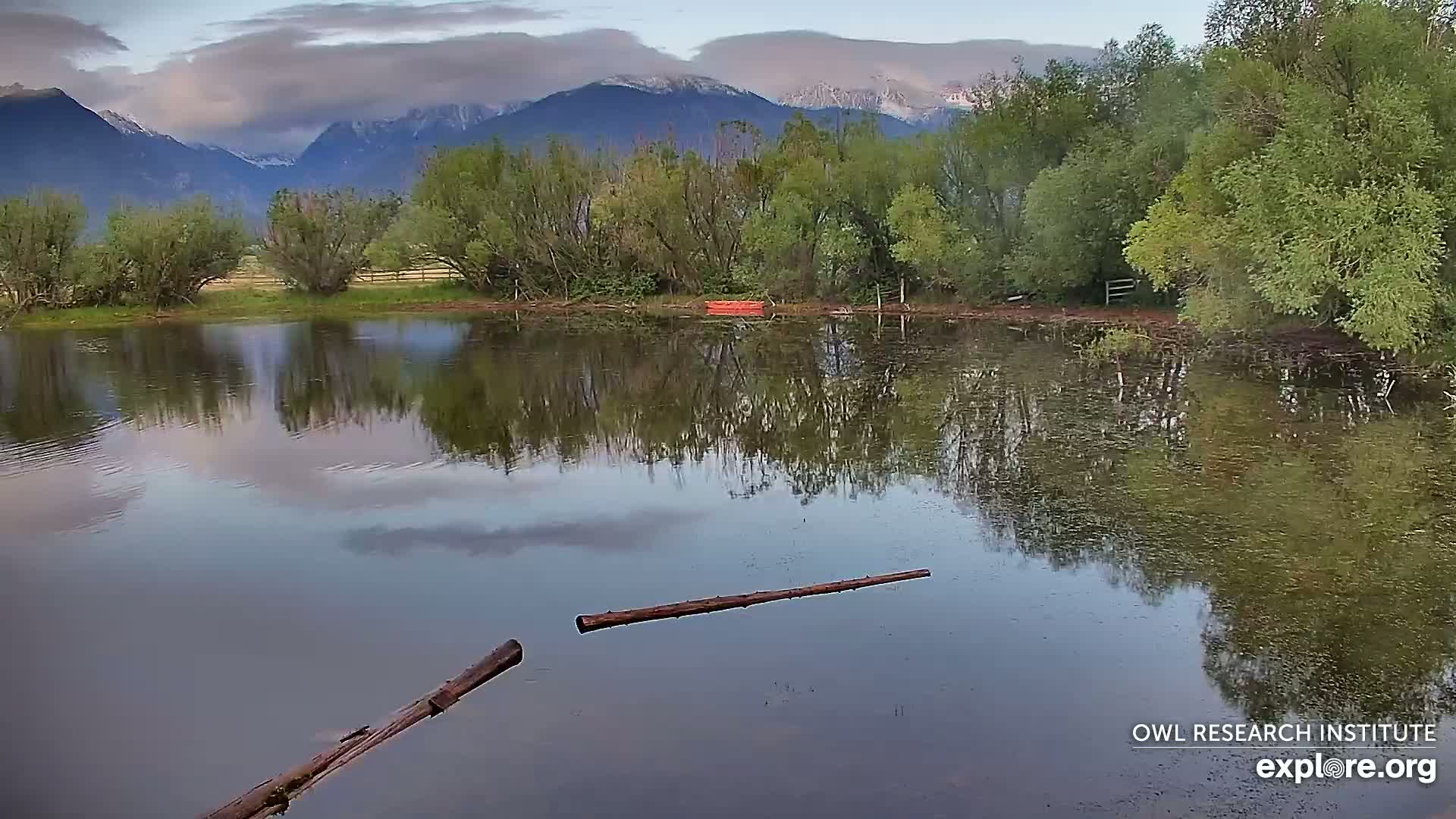 Mission Mountain Range & Mt Calowahcan View from Ninepipe Lodge Wildlife Refuge Live Cam - Charlo, Lake County, Montana, USA