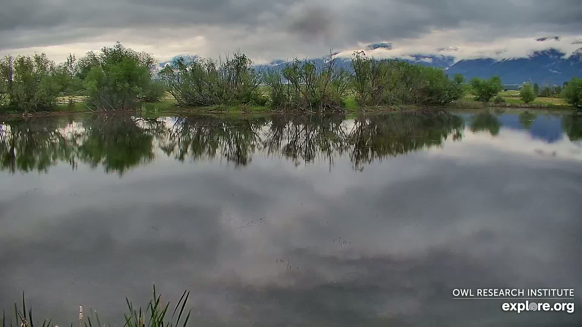 A calm pond reflects a cloudy sky and the surrounding green trees and distant mountains.