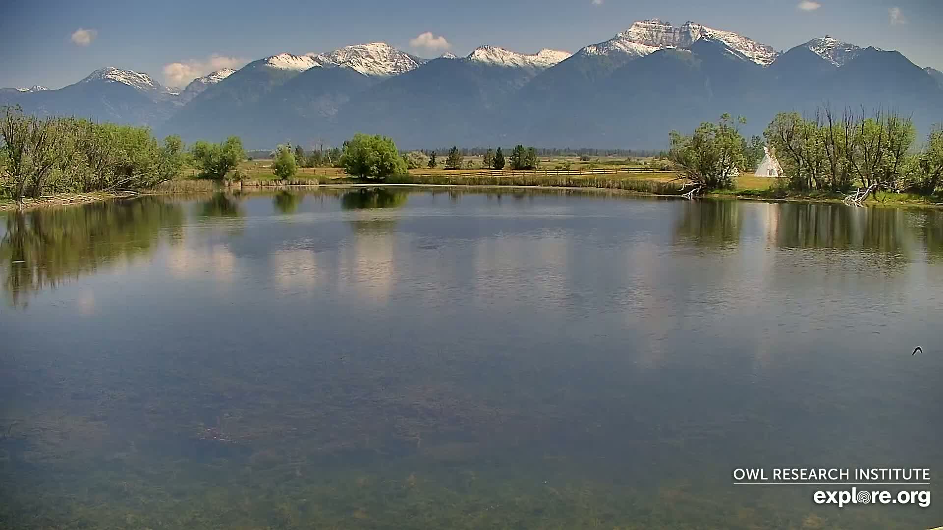 A calm, still pond reflects a partly cloudy sky and snow-capped mountains in the distance.