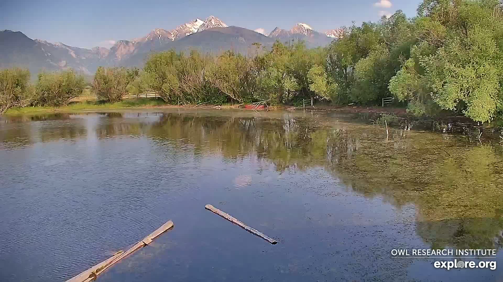 Mission Mountain Range & Mt Calowahcan View from Ninepipe Lodge Wildlife Refuge Live Cam - Charlo, Lake County, Montana, USA