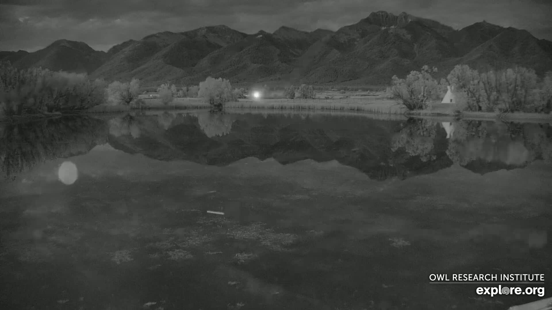 Mission Mountain Range & Mt Calowahcan View from Ninepipe Lodge Wildlife Refuge Live Cam - Charlo, Lake County, Montana, USA