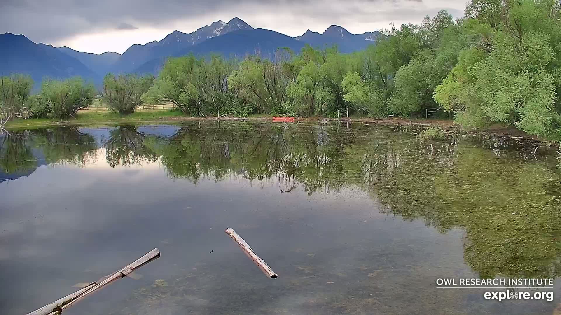 Mission Mountain Range & Mt Calowahcan View from Ninepipe Lodge Wildlife Refuge Live Cam - Charlo, Lake County, Montana, USA