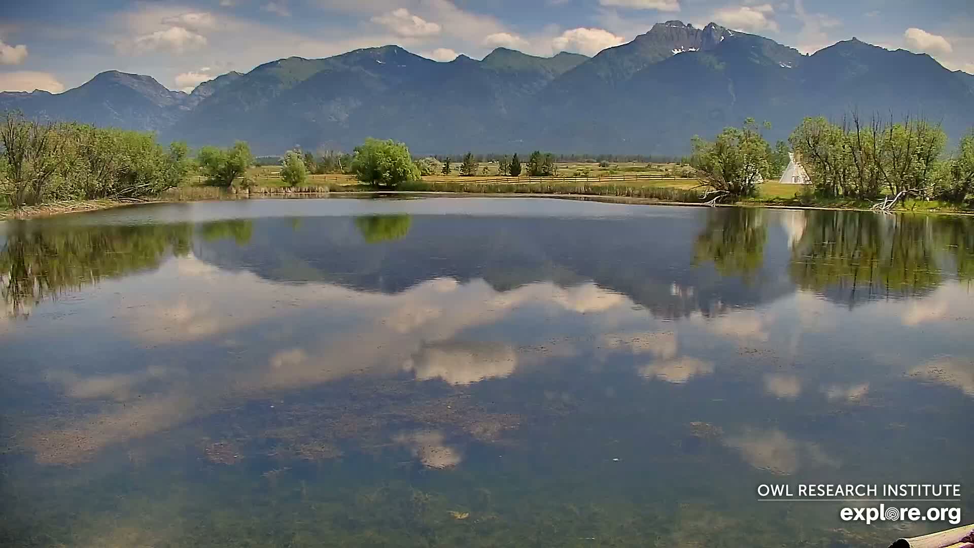 Mission Mountain Range & Mt Calowahcan View from Ninepipe Lodge Wildlife Refuge Live Cam - Charlo, Lake County, Montana, USA