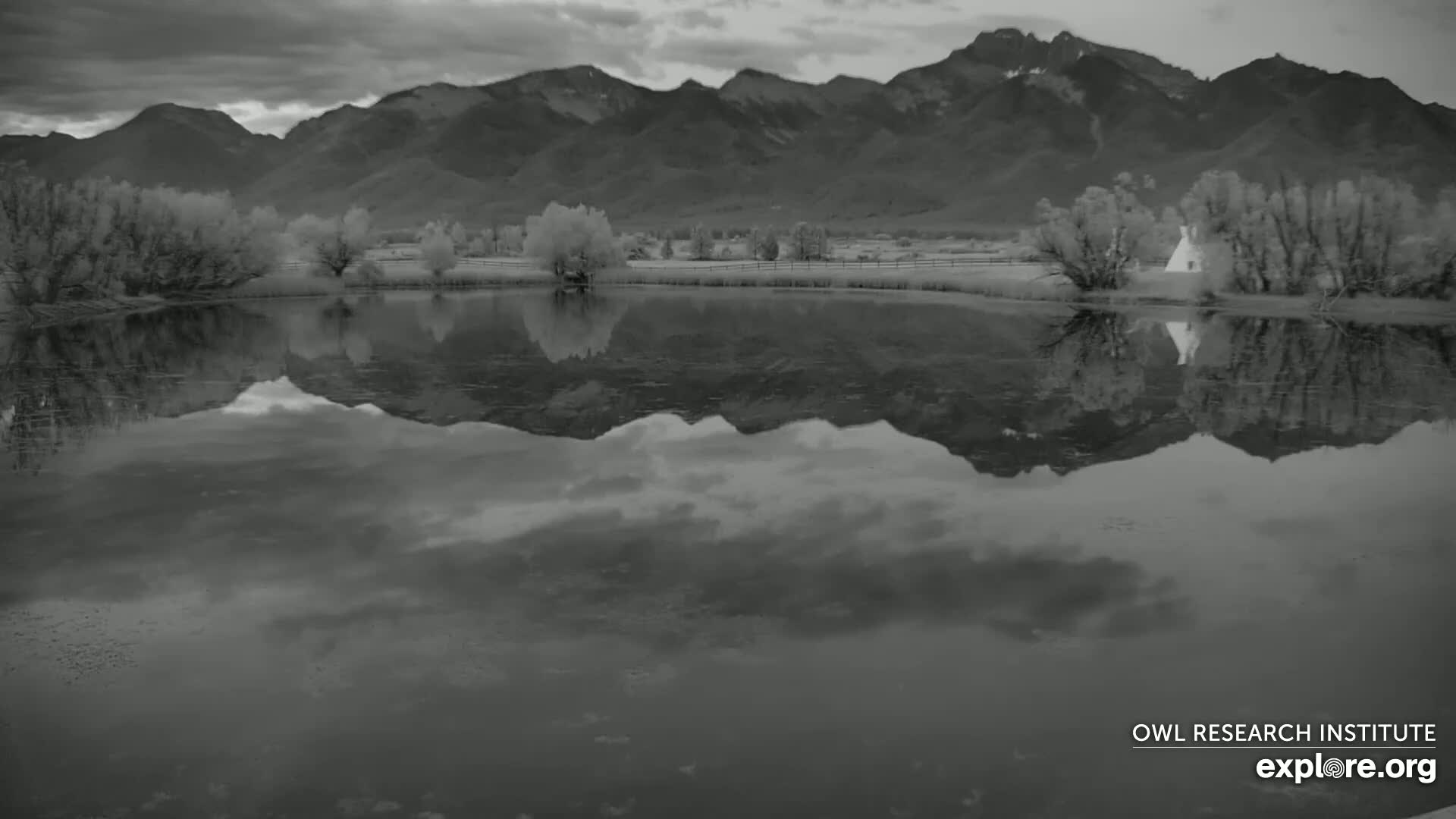 Mission Mountain Range & Mt Calowahcan View from Ninepipe Lodge Wildlife Refuge Live Cam - Charlo, Lake County, Montana, USA