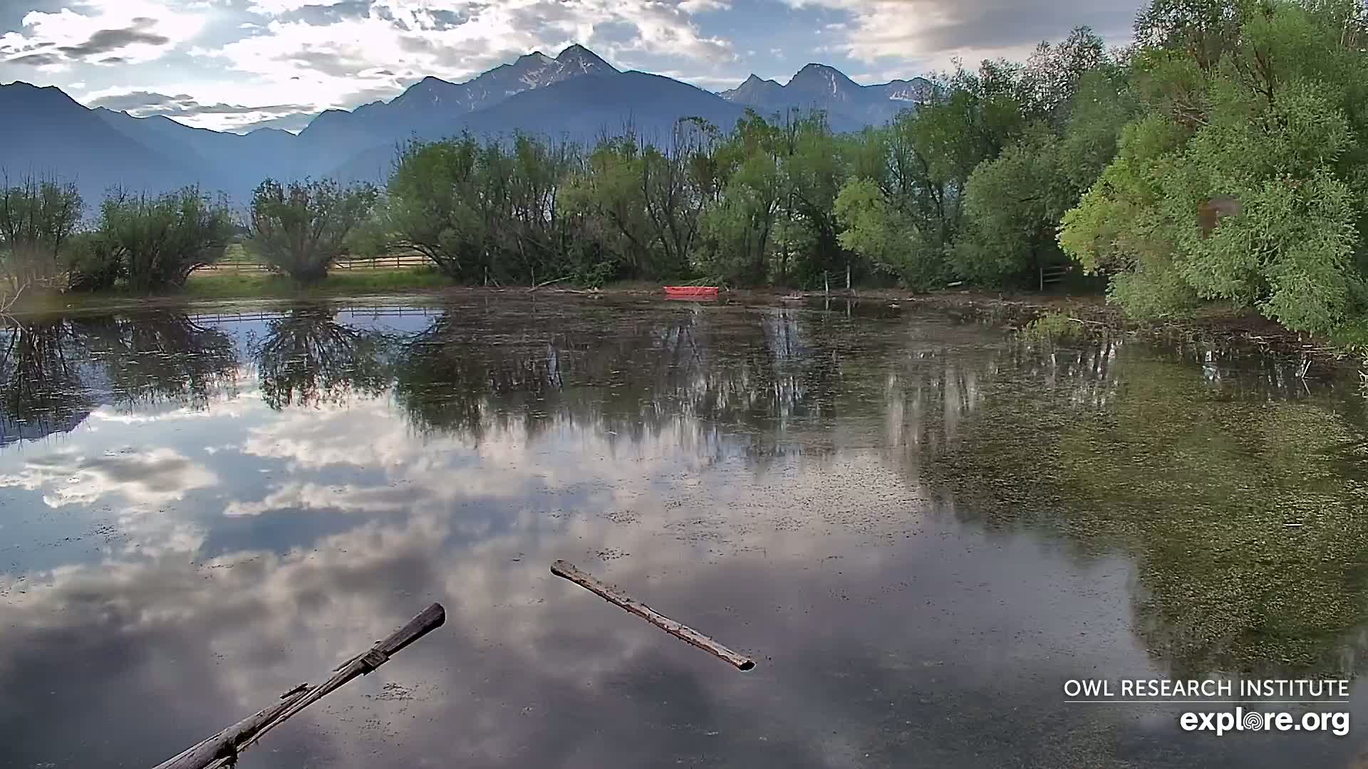 Mission Mountain Range & Mt Calowahcan View from Ninepipe Lodge Wildlife Refuge Live Cam - Charlo, Lake County, Montana, USA