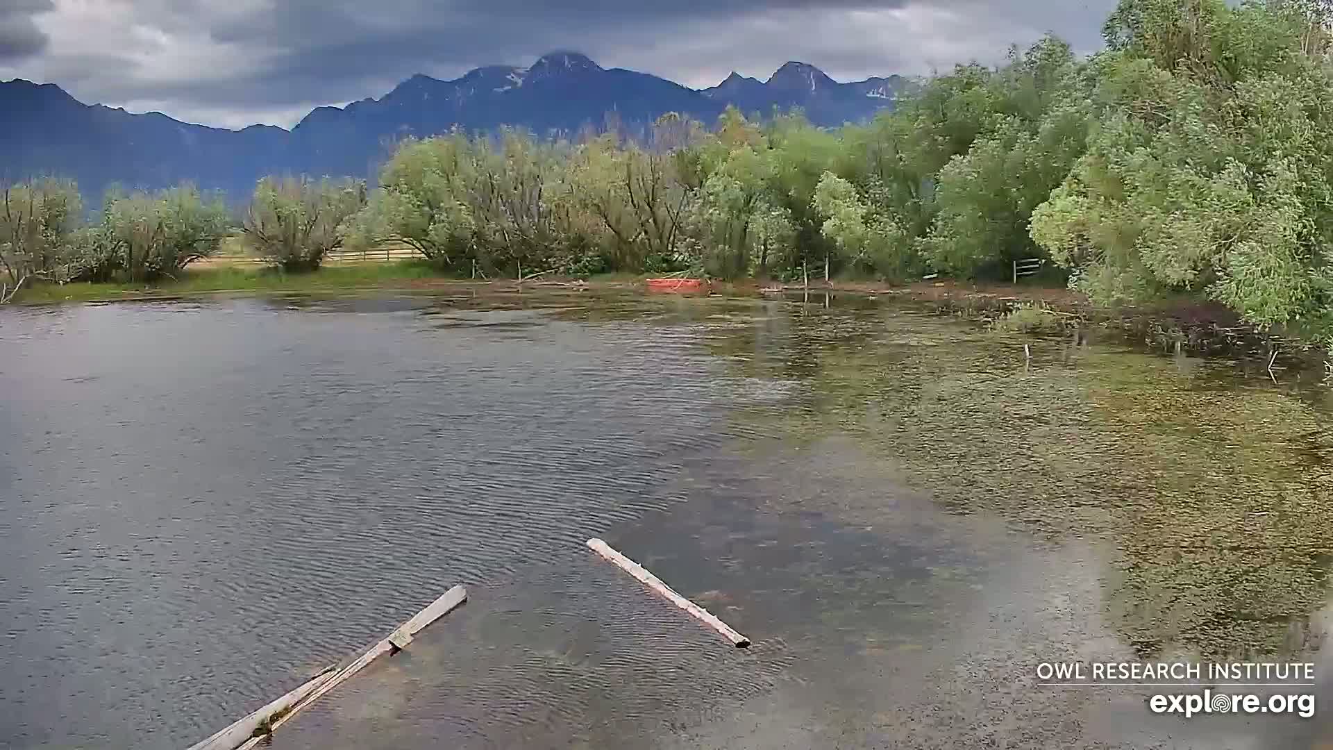 Mission Mountain Range & Mt Calowahcan View from Ninepipe Lodge Wildlife Refuge Live Cam - Charlo, Lake County, Montana, USA