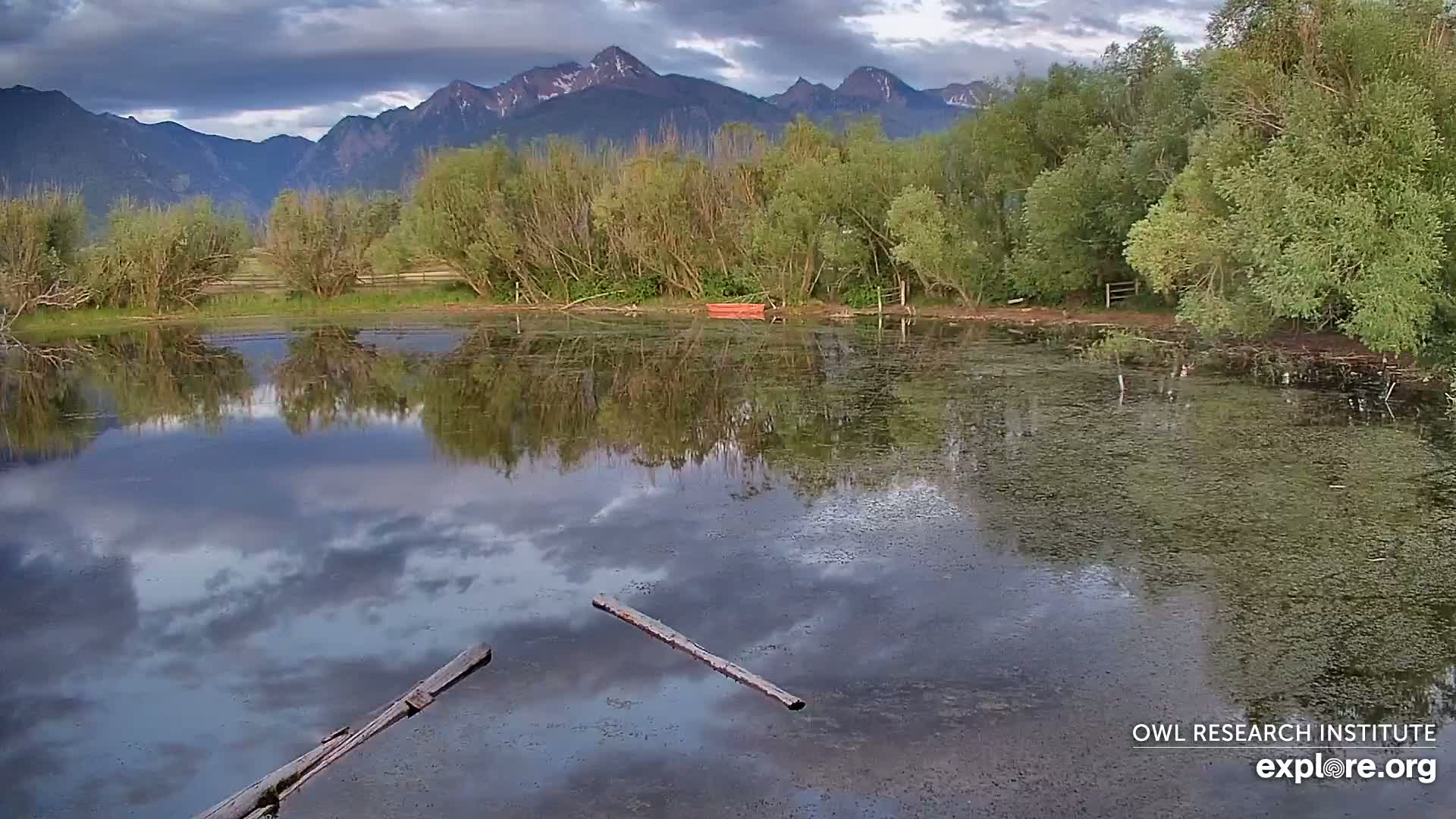 Mission Mountain Range & Mt Calowahcan View from Ninepipe Lodge Wildlife Refuge Live Cam - Charlo, Lake County, Montana, USA