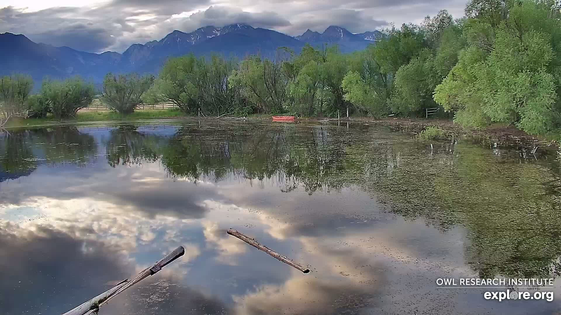 Mission Mountain Range & Mt Calowahcan View from Ninepipe Lodge Wildlife Refuge Live Cam - Charlo, Lake County, Montana, USA