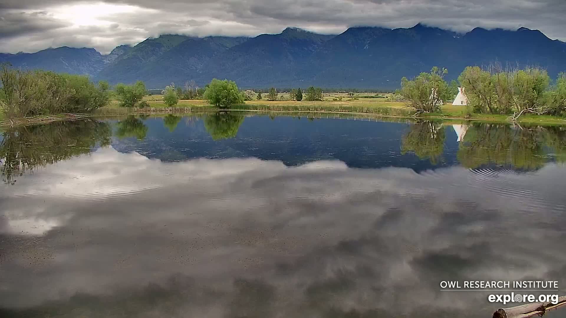 Mission Mountain Range & Mt Calowahcan View from Ninepipe Lodge Wildlife Refuge Live Cam - Charlo, Lake County, Montana, USA