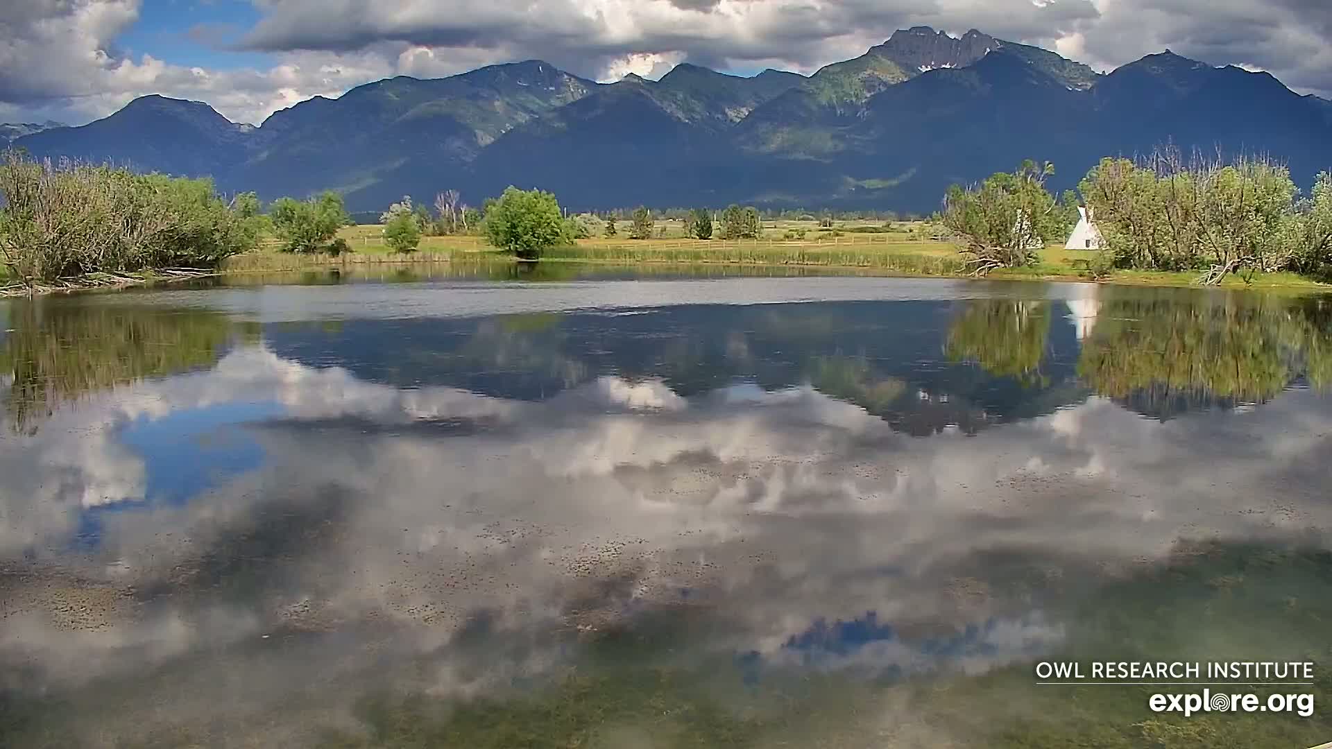 Mission Mountain Range & Mt Calowahcan View from Ninepipe Lodge Wildlife Refuge Live Cam - Charlo, Lake County, Montana, USA